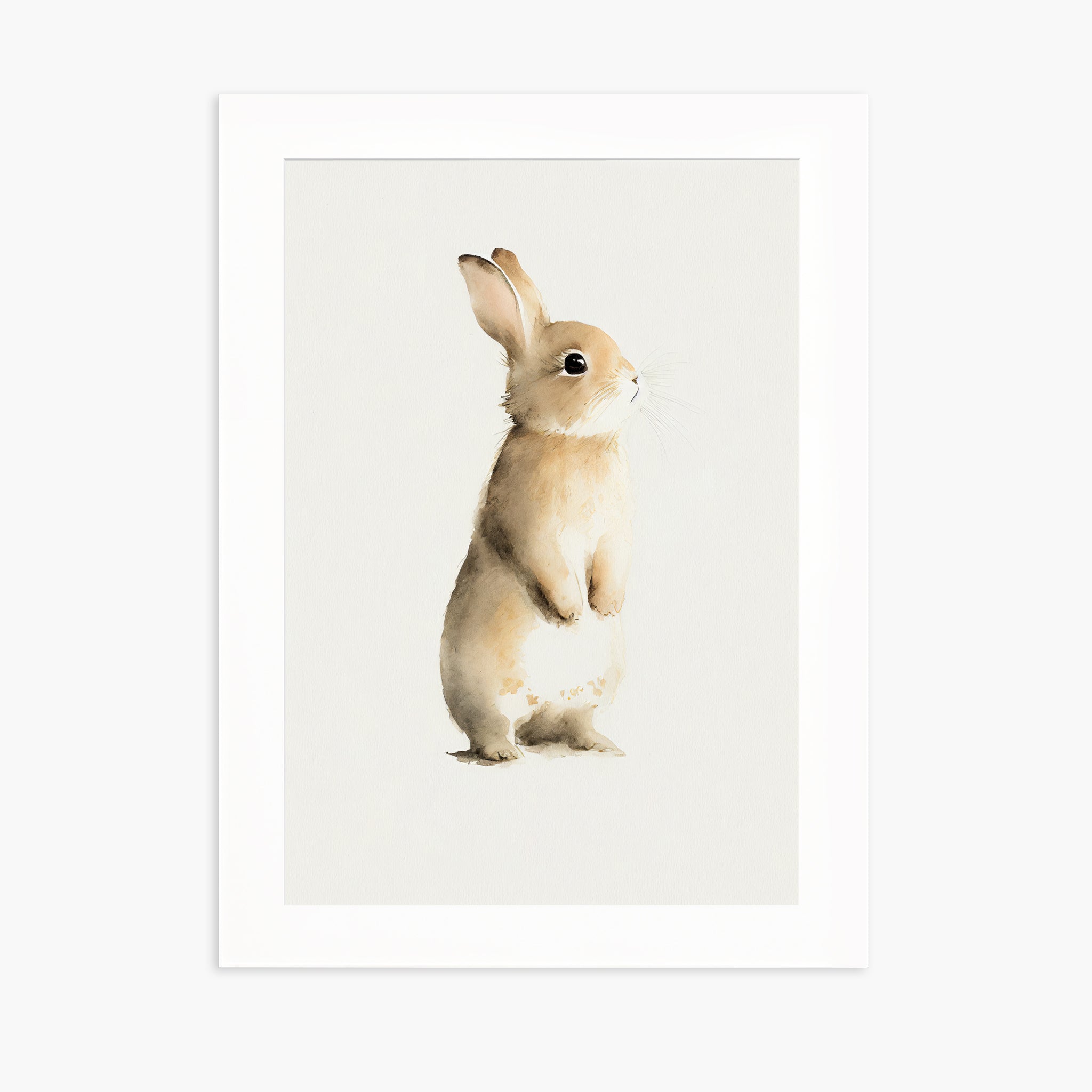 BABY RABBIT