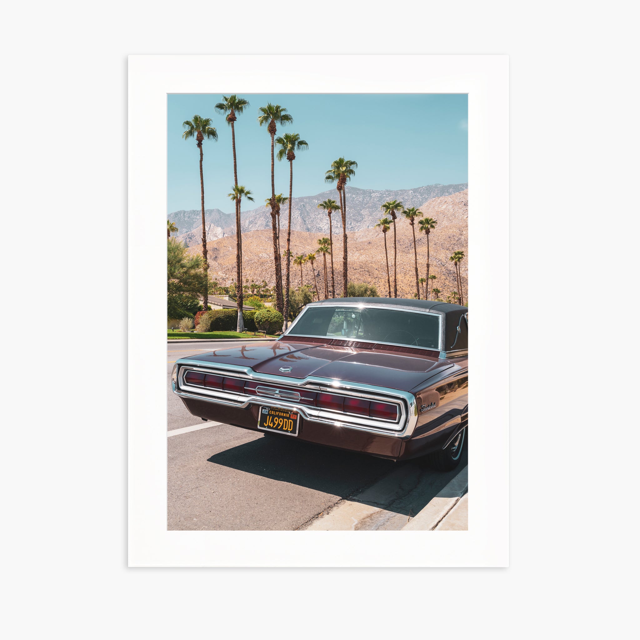 FORD THUNDERBIRD
