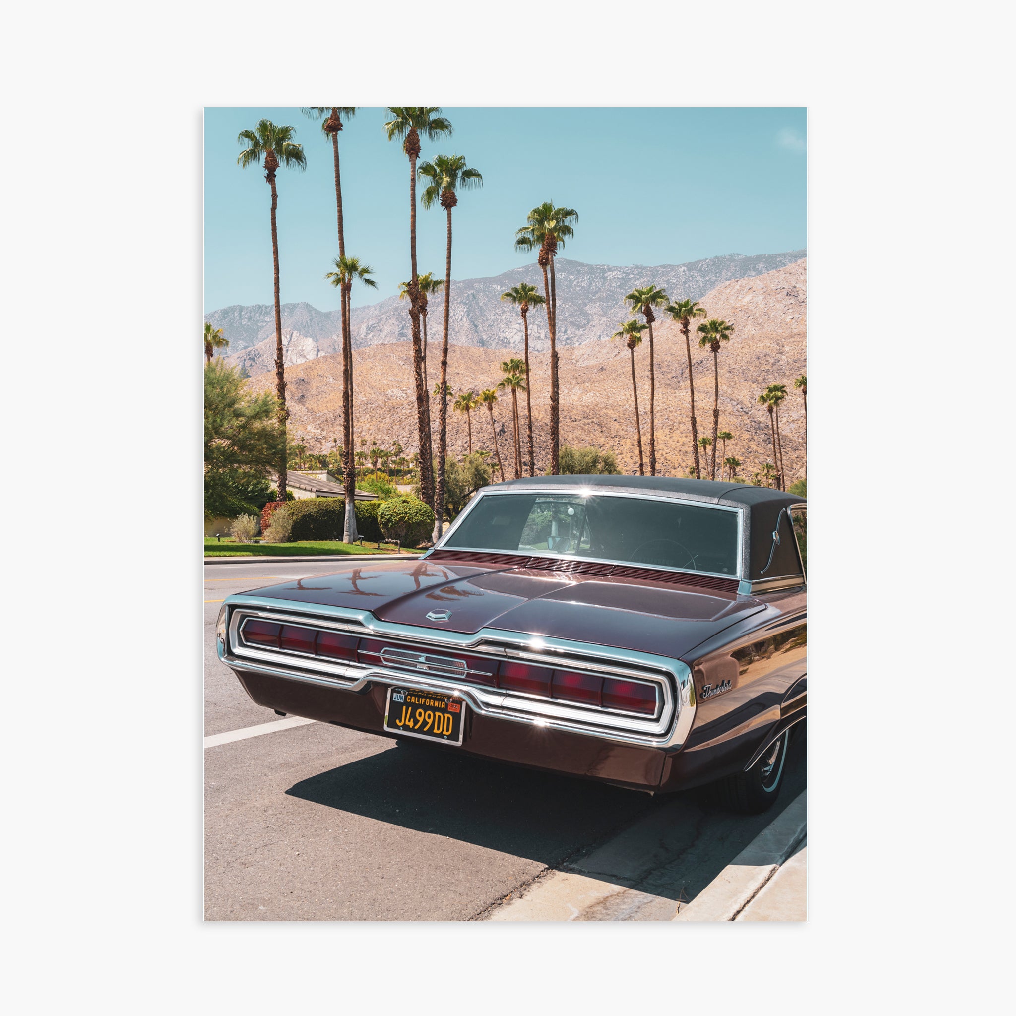 FORD THUNDERBIRD