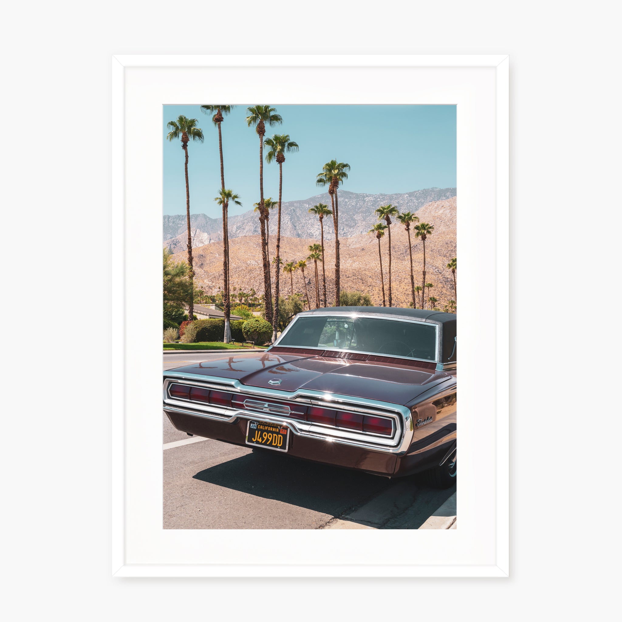 FORD THUNDERBIRD