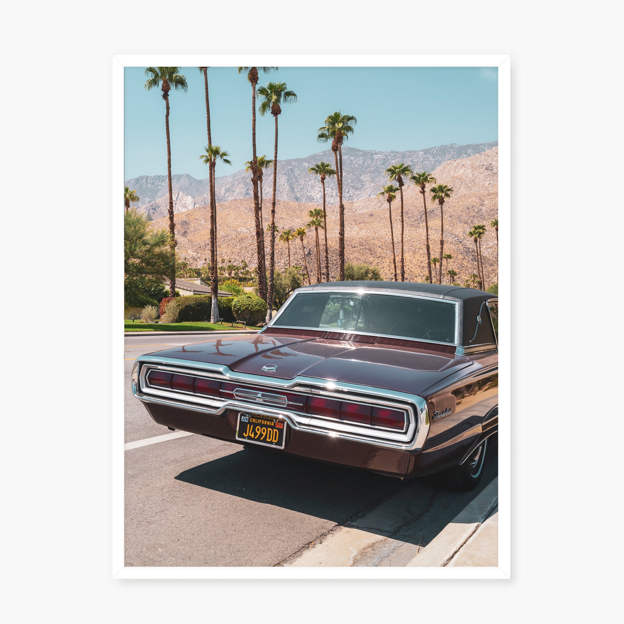 FORD THUNDERBIRD