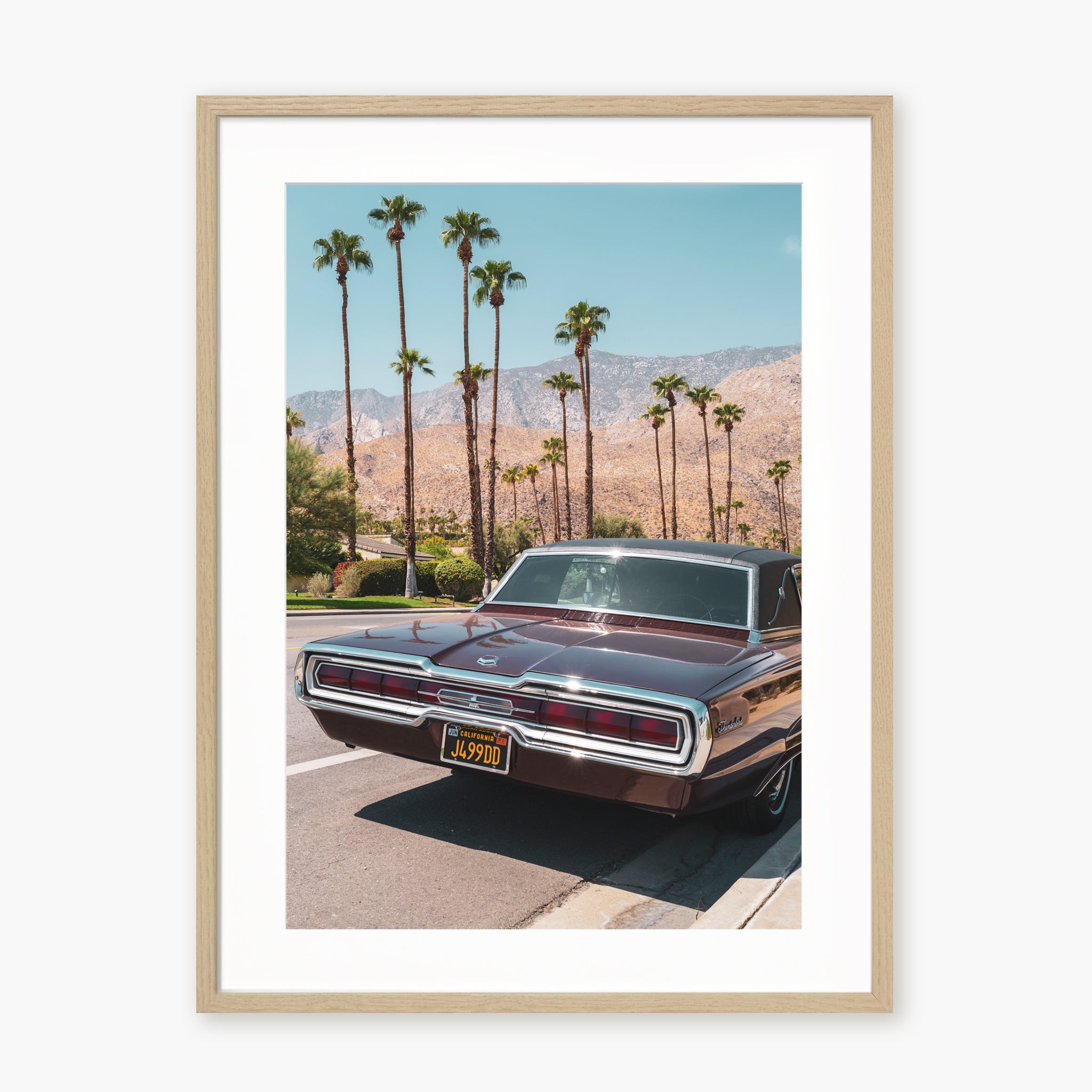 FORD THUNDERBIRD