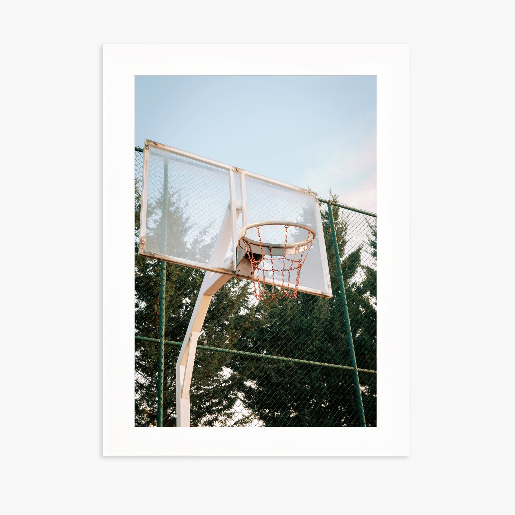 BASKETBALL HOOP