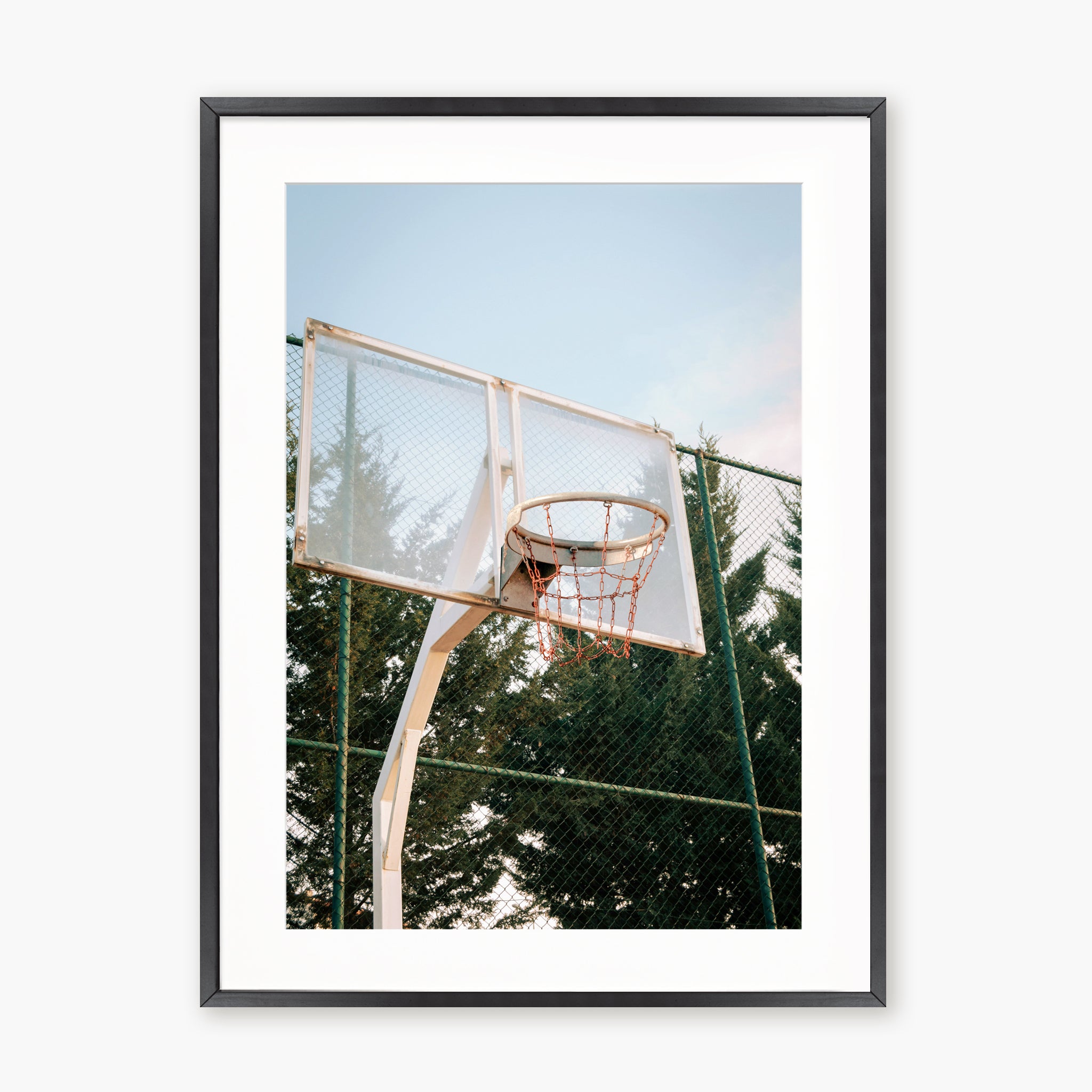 BASKETBALL HOOP