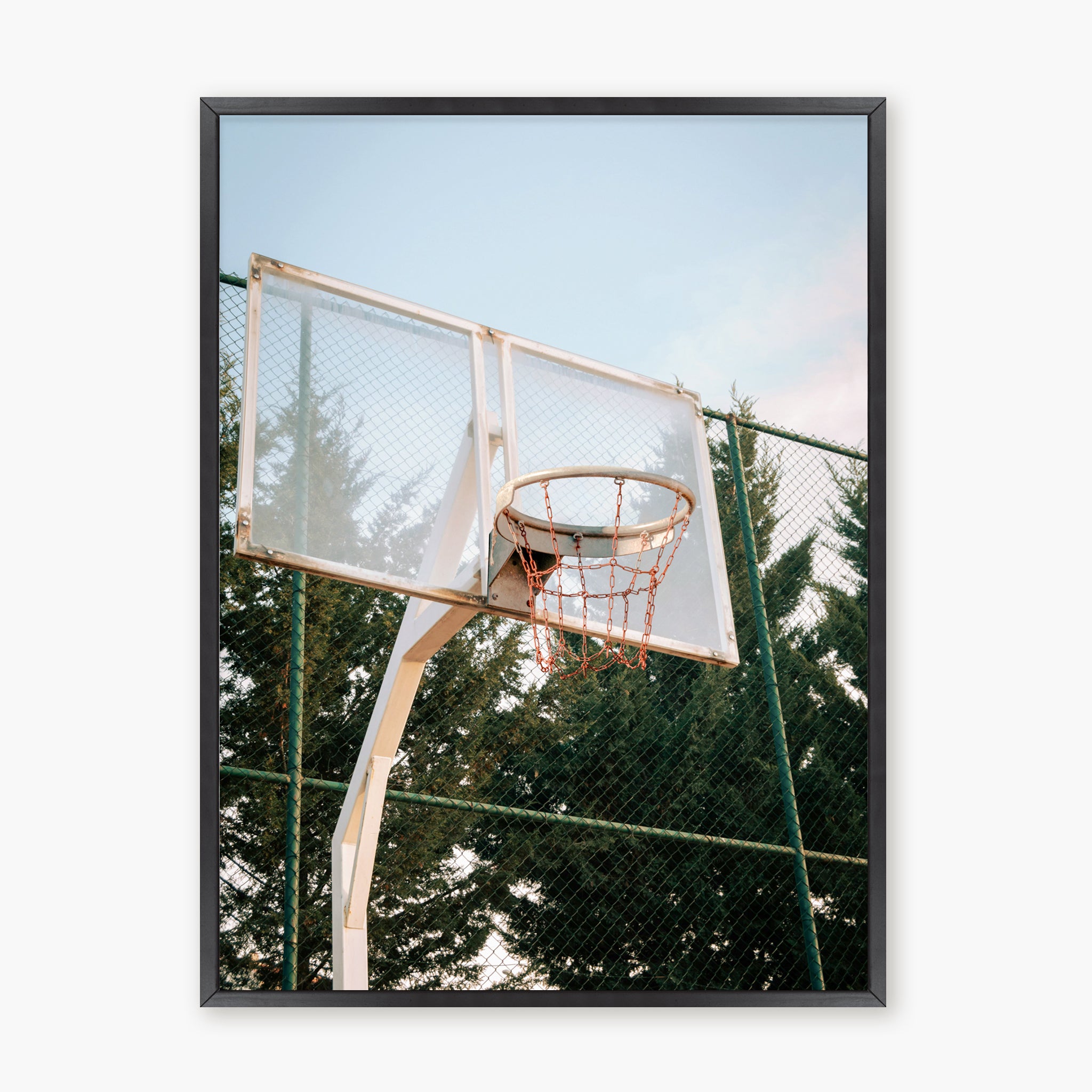 BASKETBALL HOOP