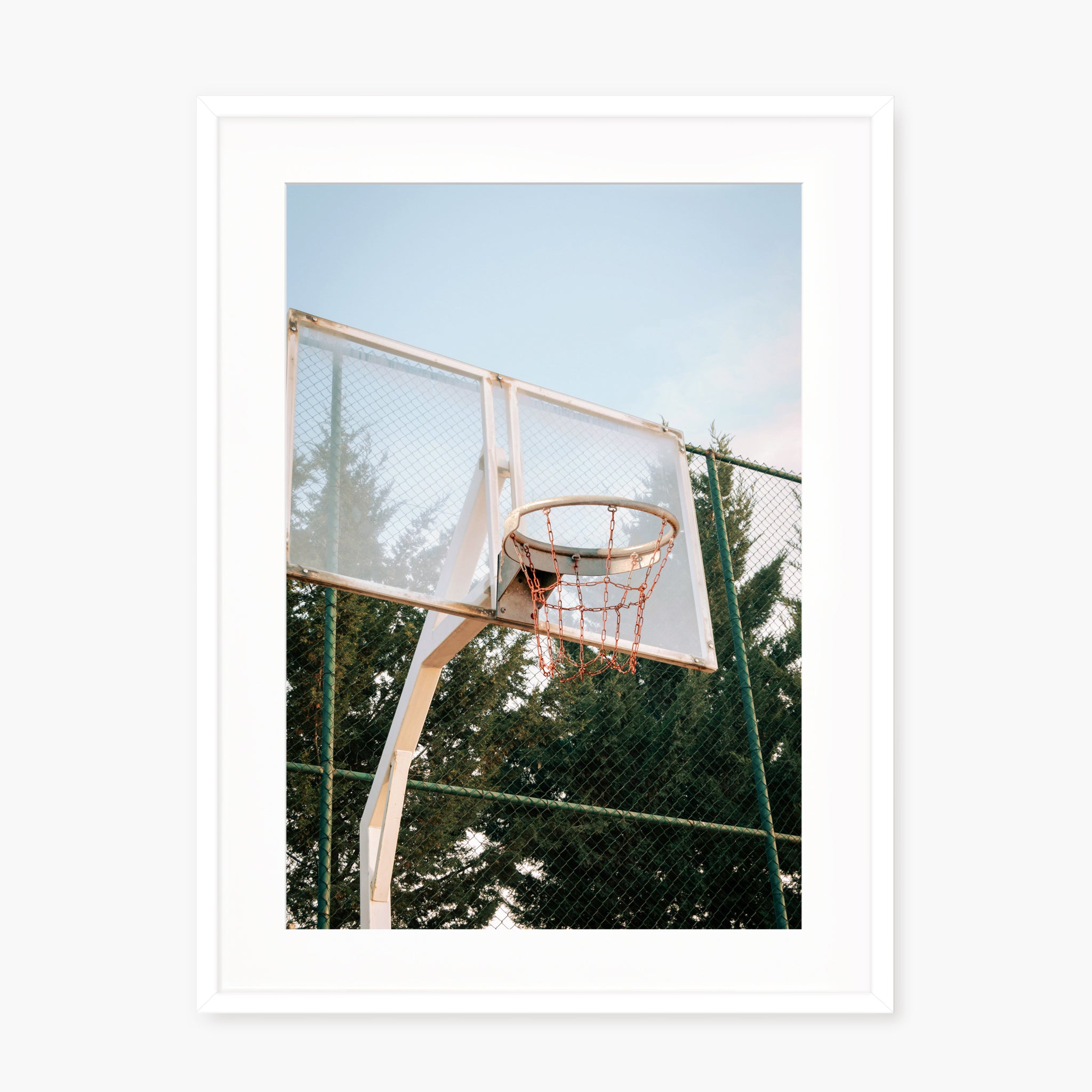 BASKETBALL HOOP