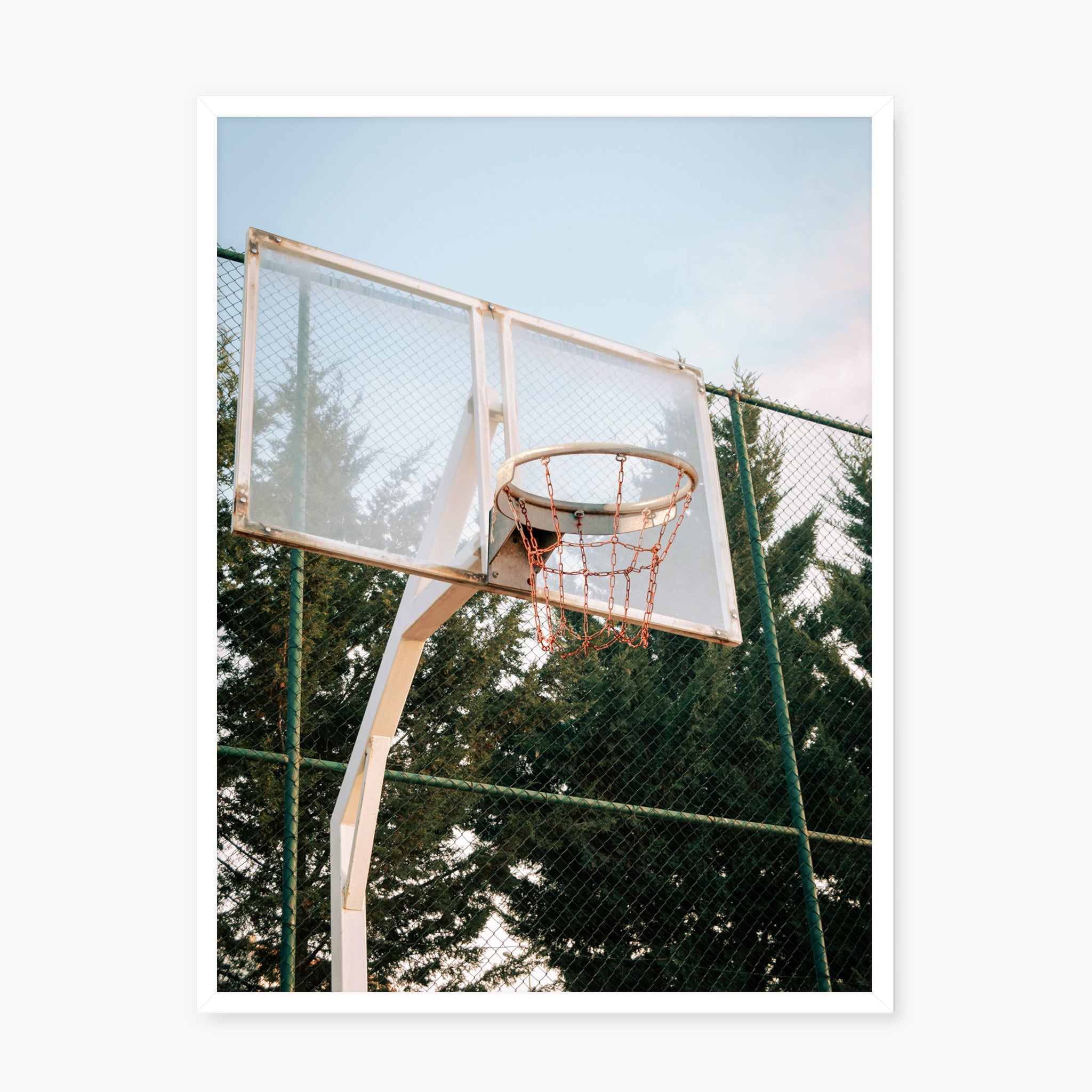 BASKETBALL HOOP