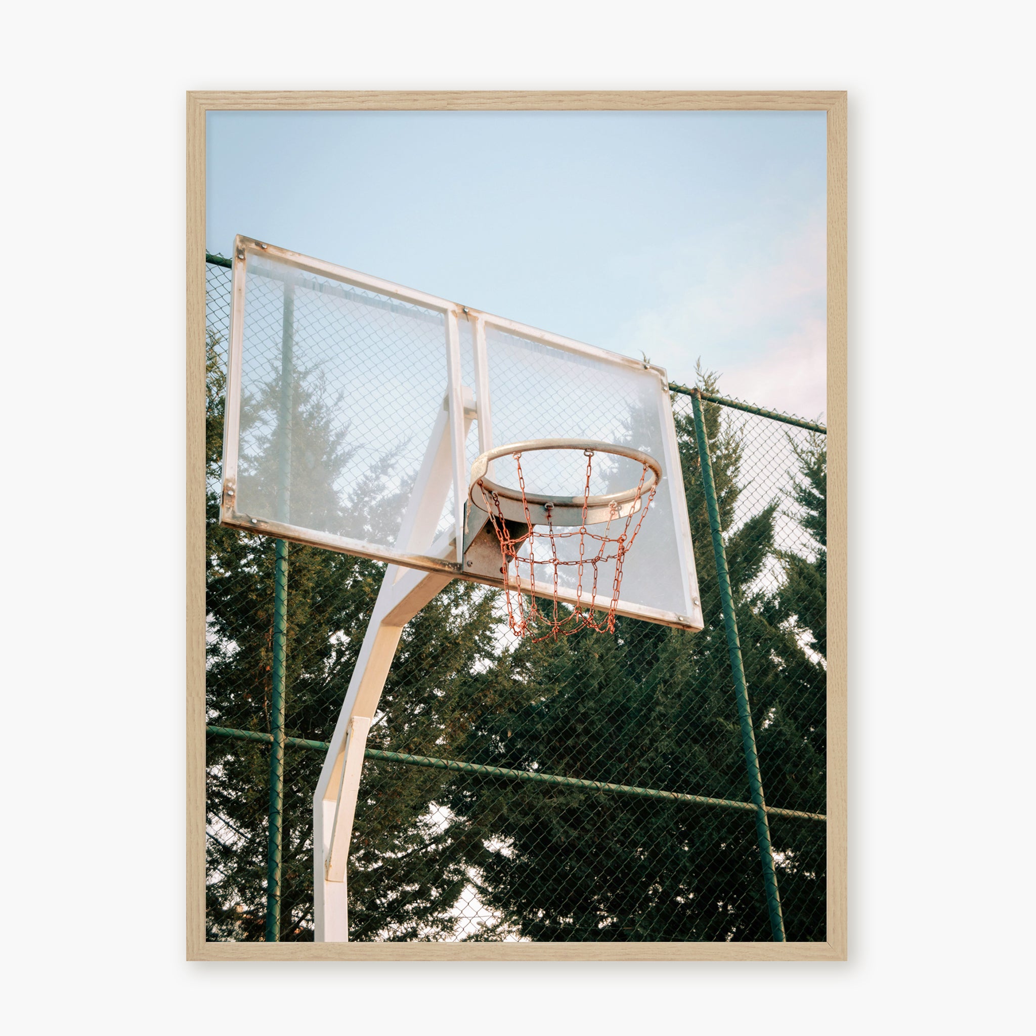 BASKETBALL HOOP
