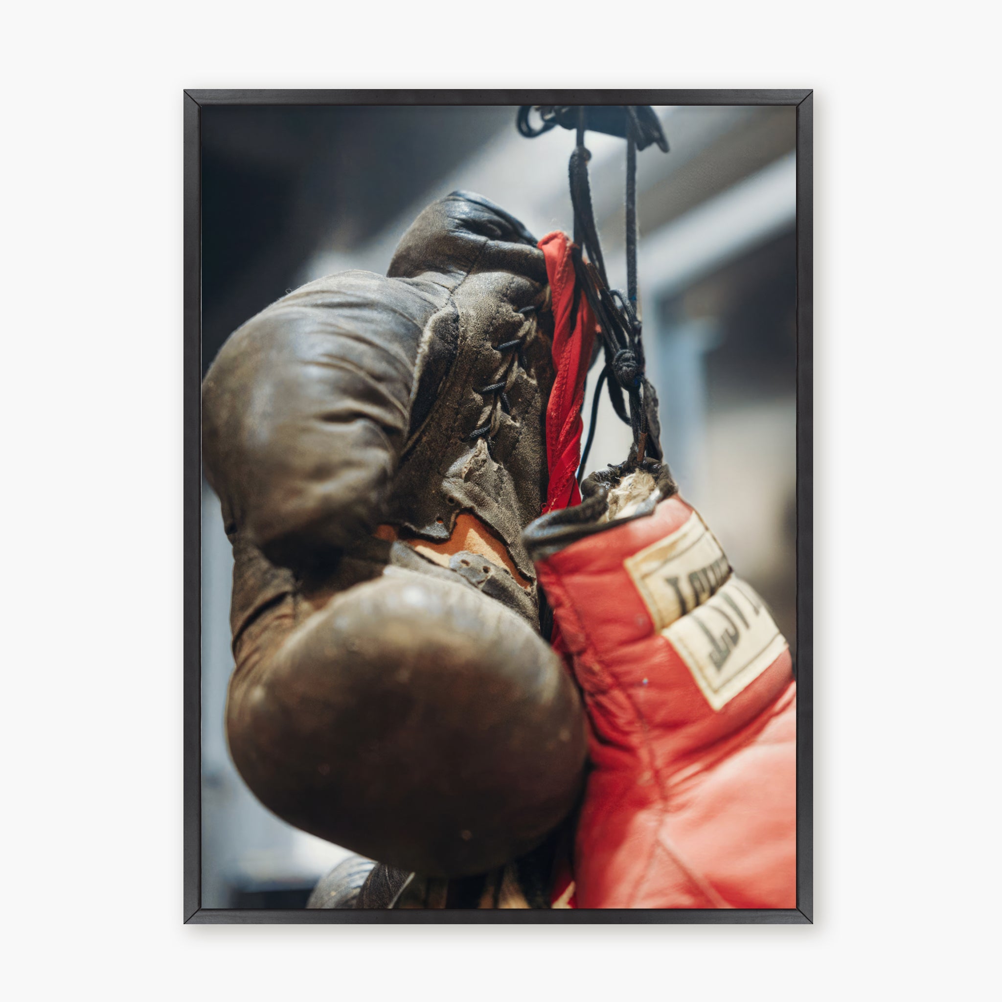 GANTS DE BOXE