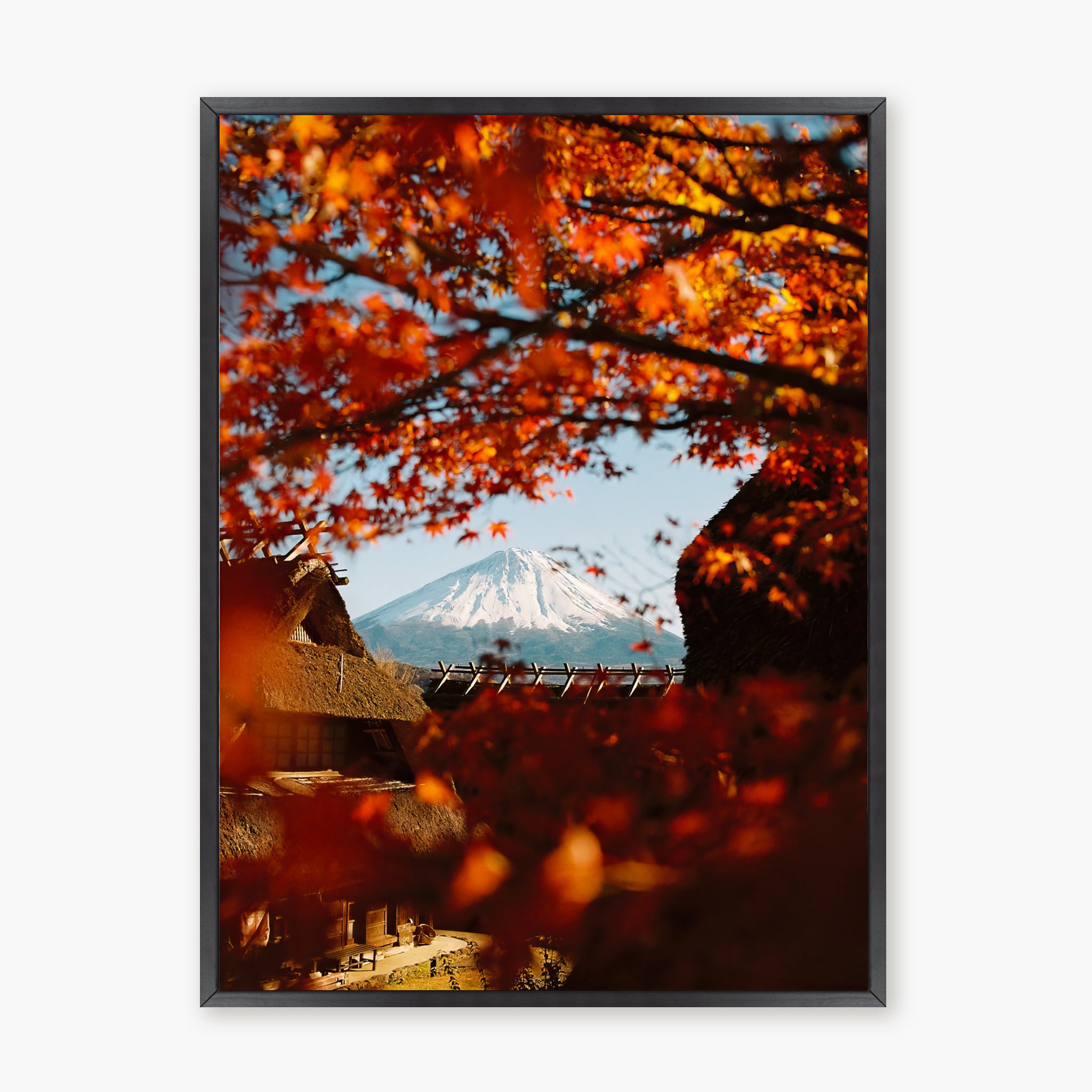 AUTUMN IN JAPAN