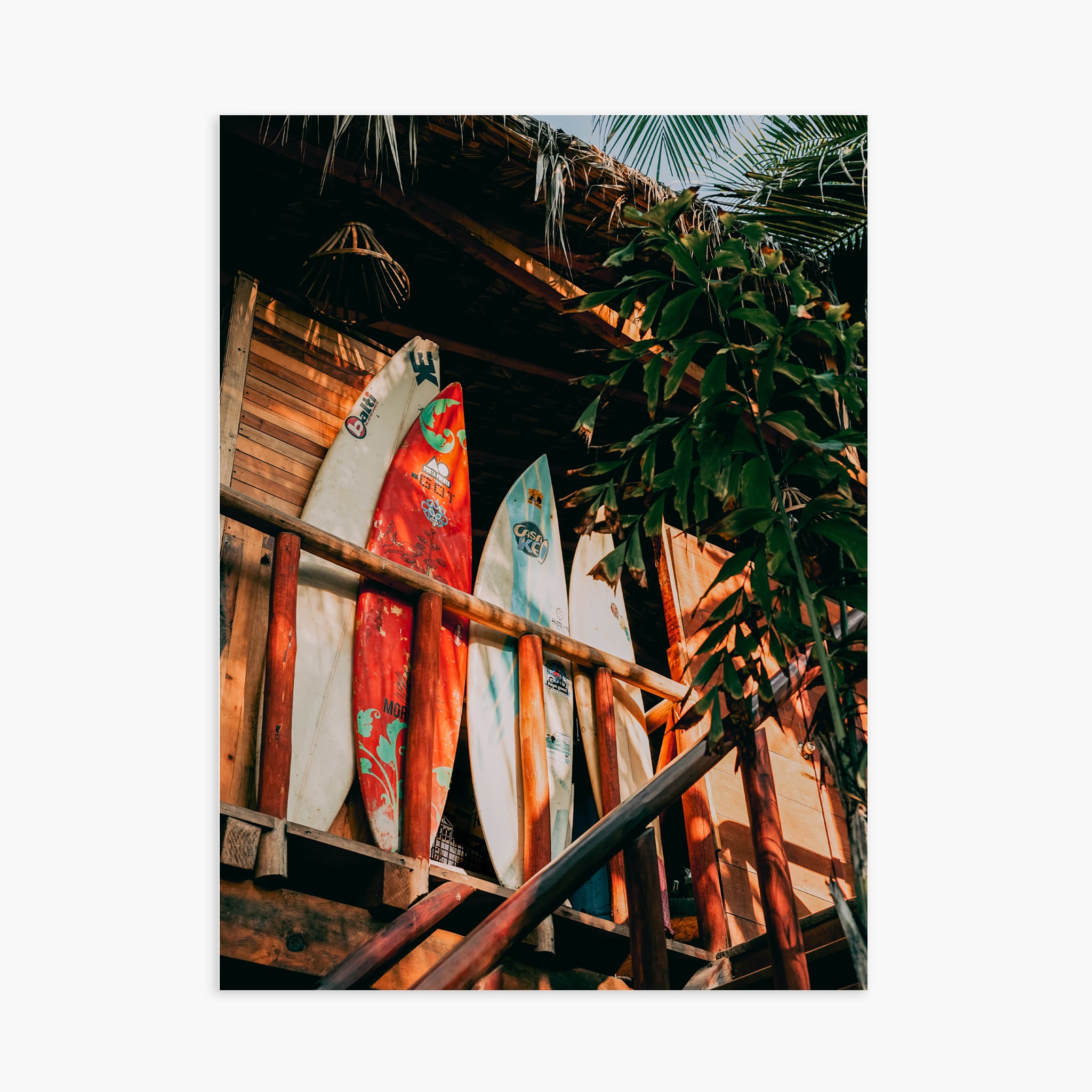 SURFBOARD IN JUNGLE