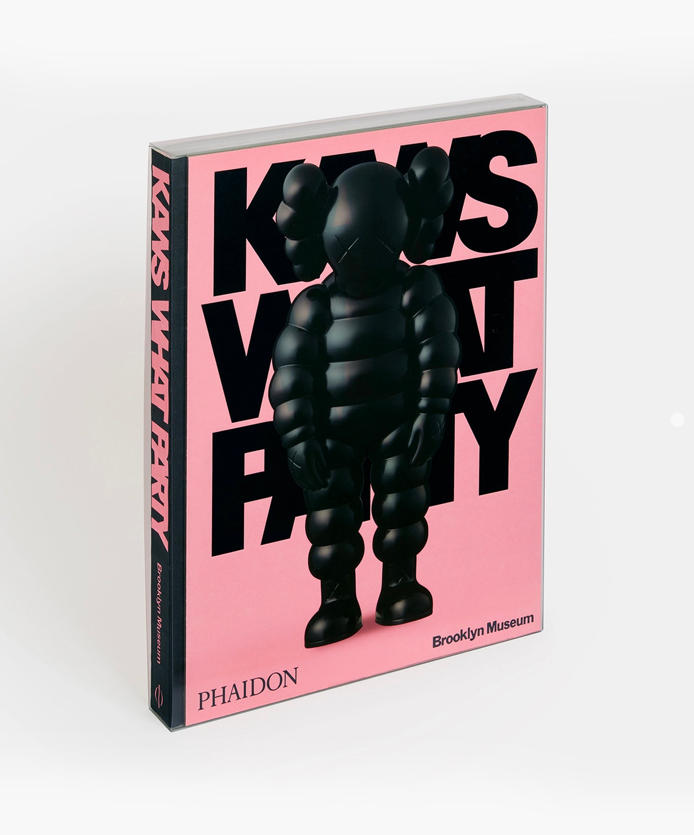KAWS : WHAT PARTY