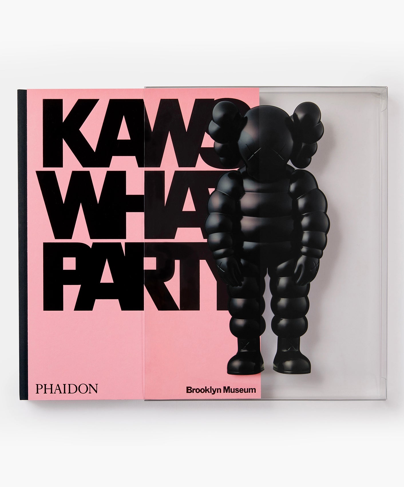 KAWS : WHAT PARTY