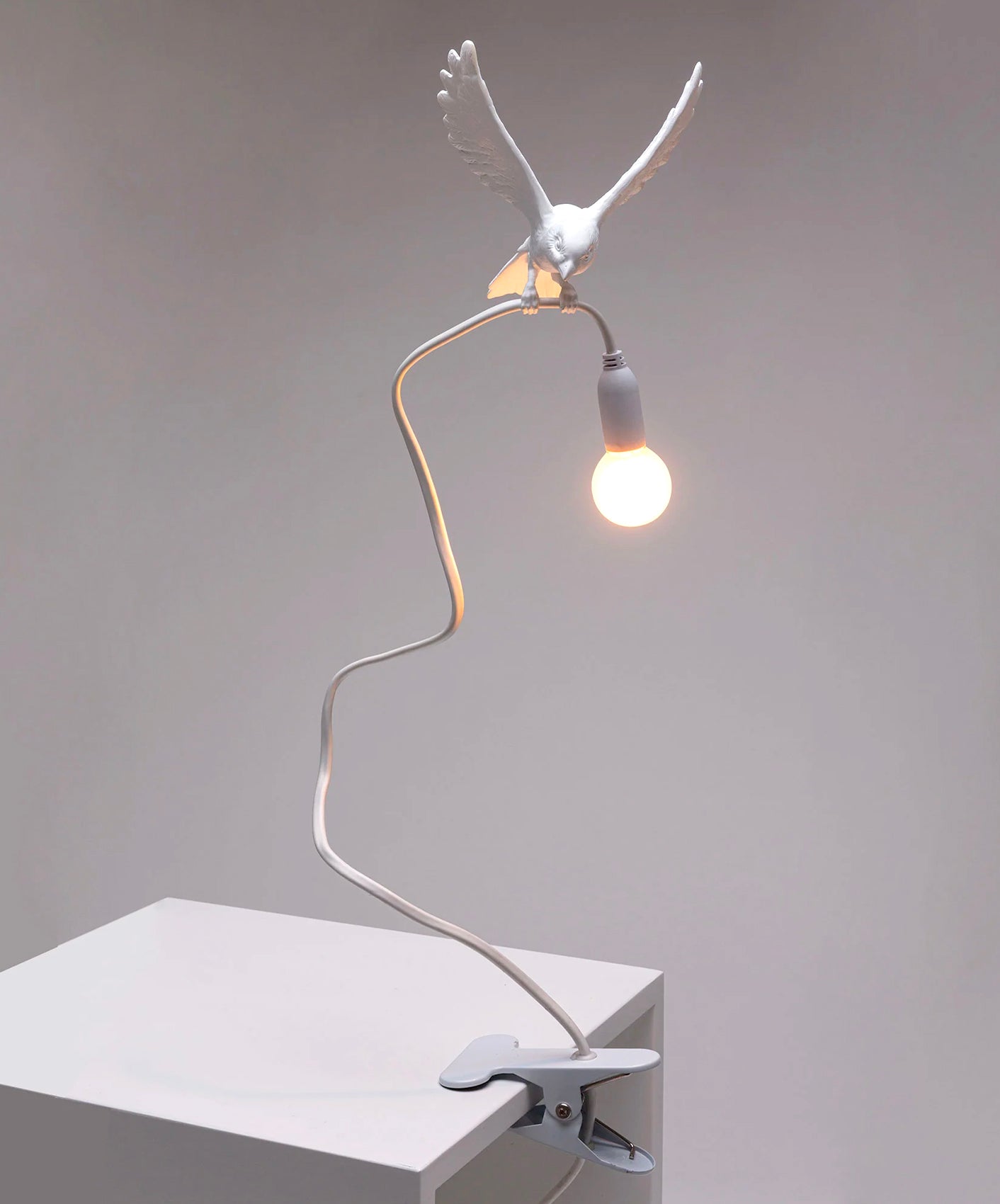 OISEAU "ATTERRISSAGE"