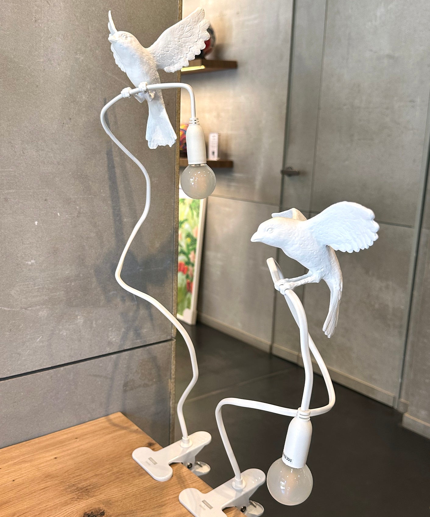 OISEAU "ATTERRISSAGE"