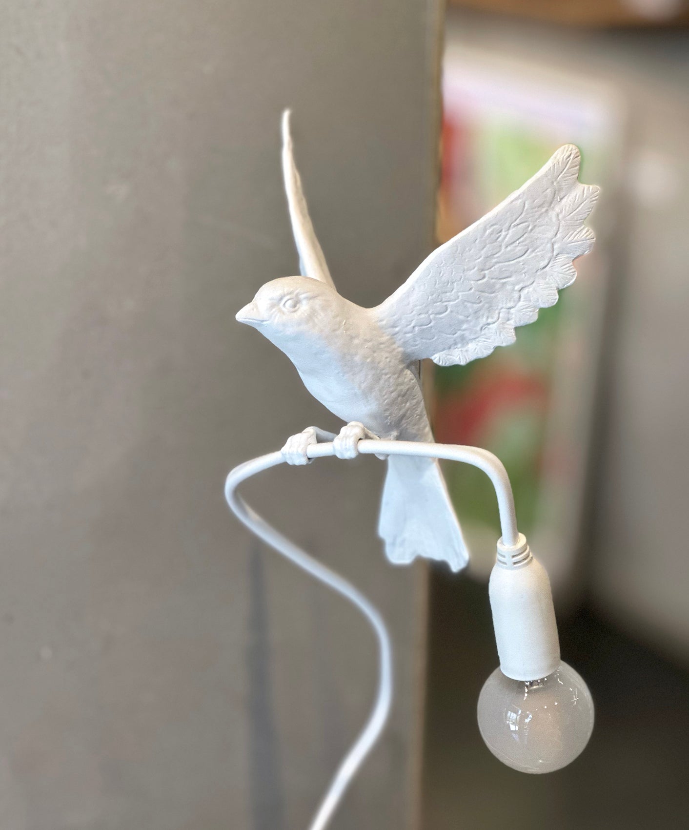 OISEAU "EN VOL"