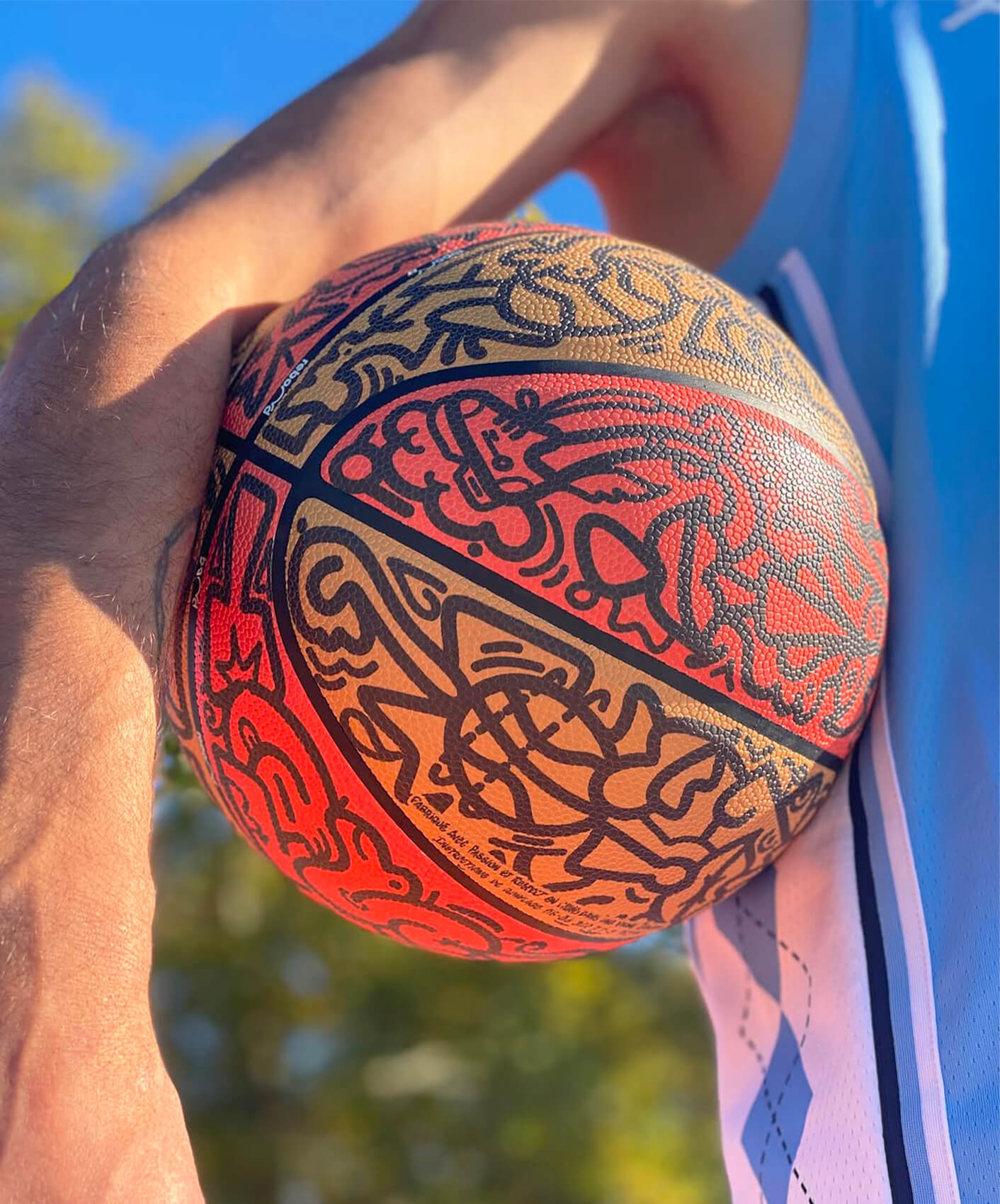 BASKET - LOUIS BOTTERO