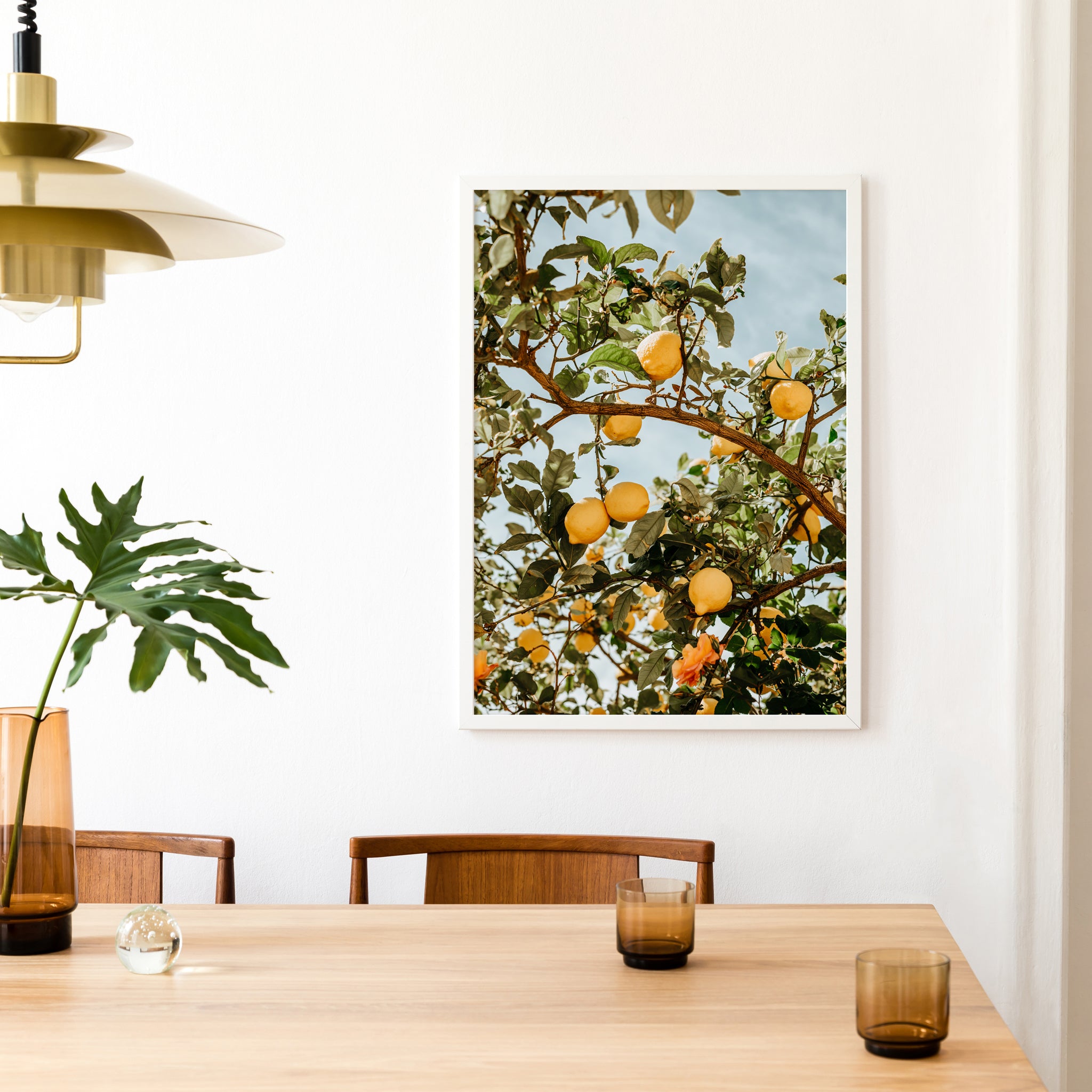 LEMON TREE