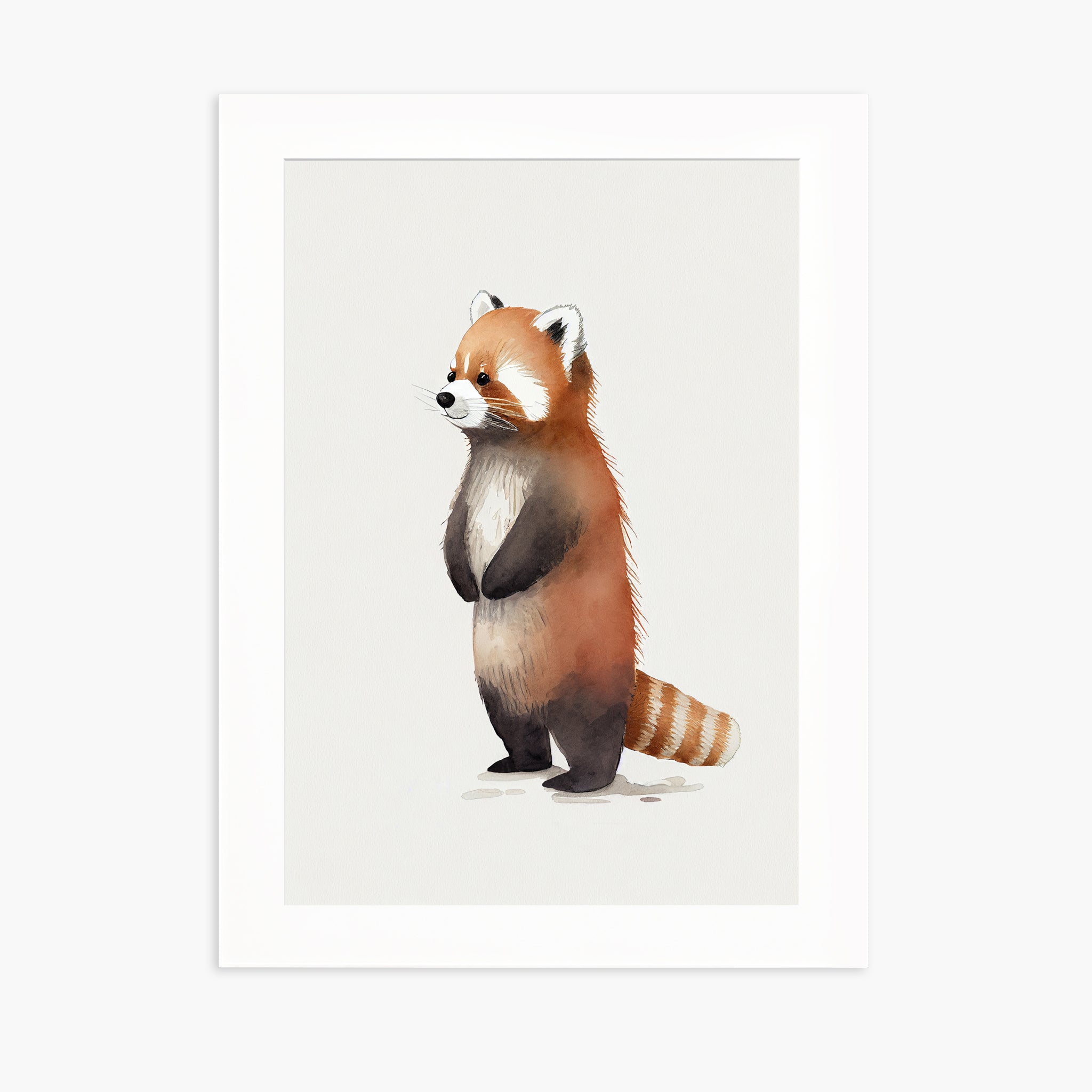 BABY RED PANDA
