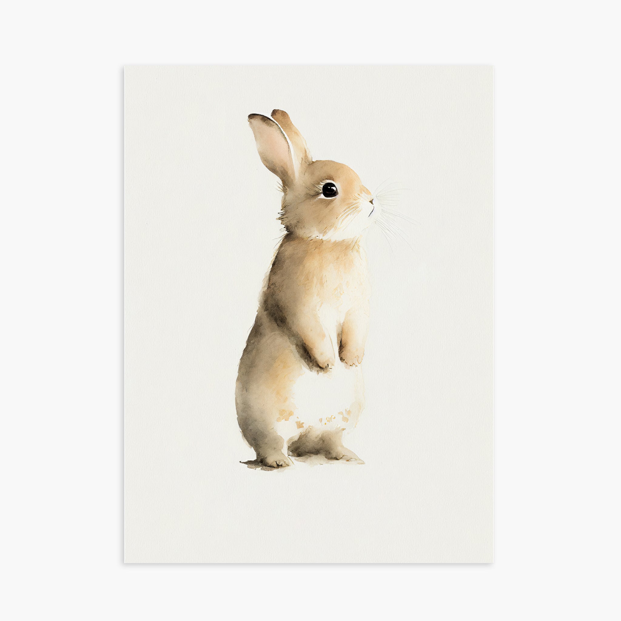 BABY RABBIT