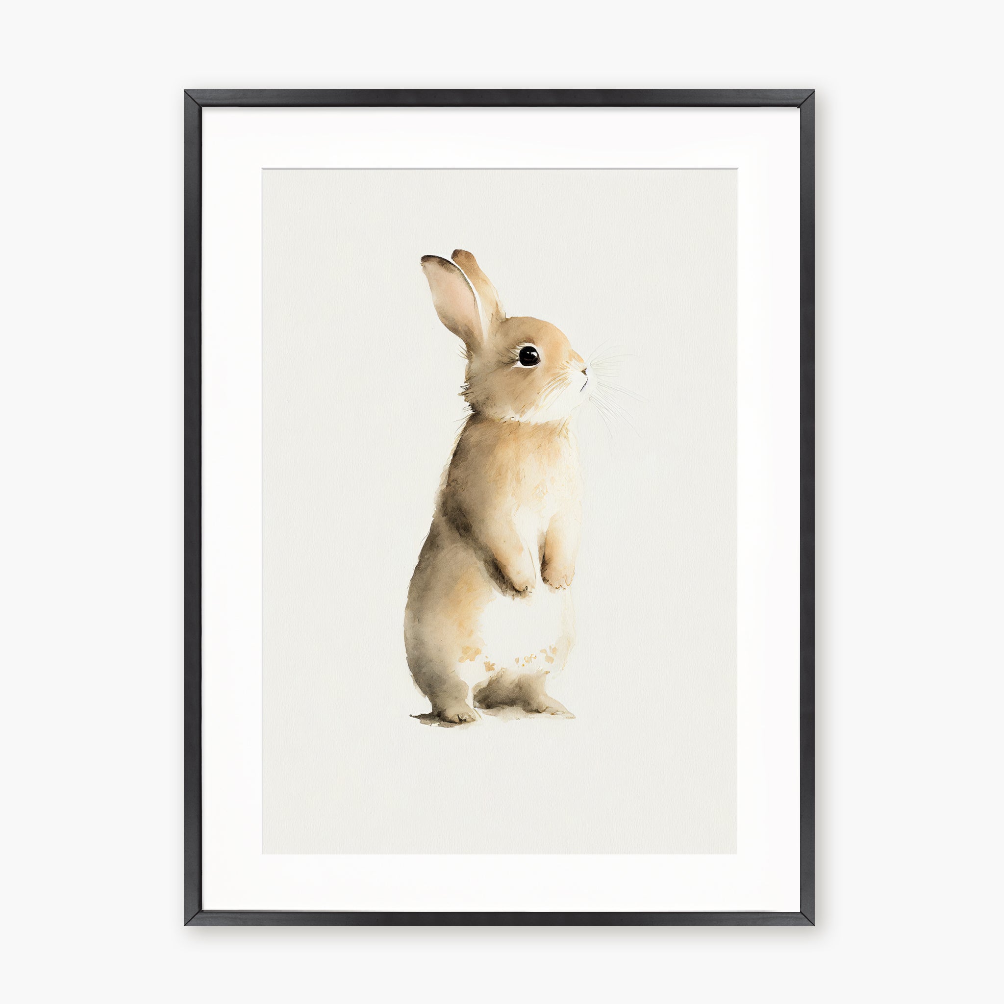 BABY RABBIT