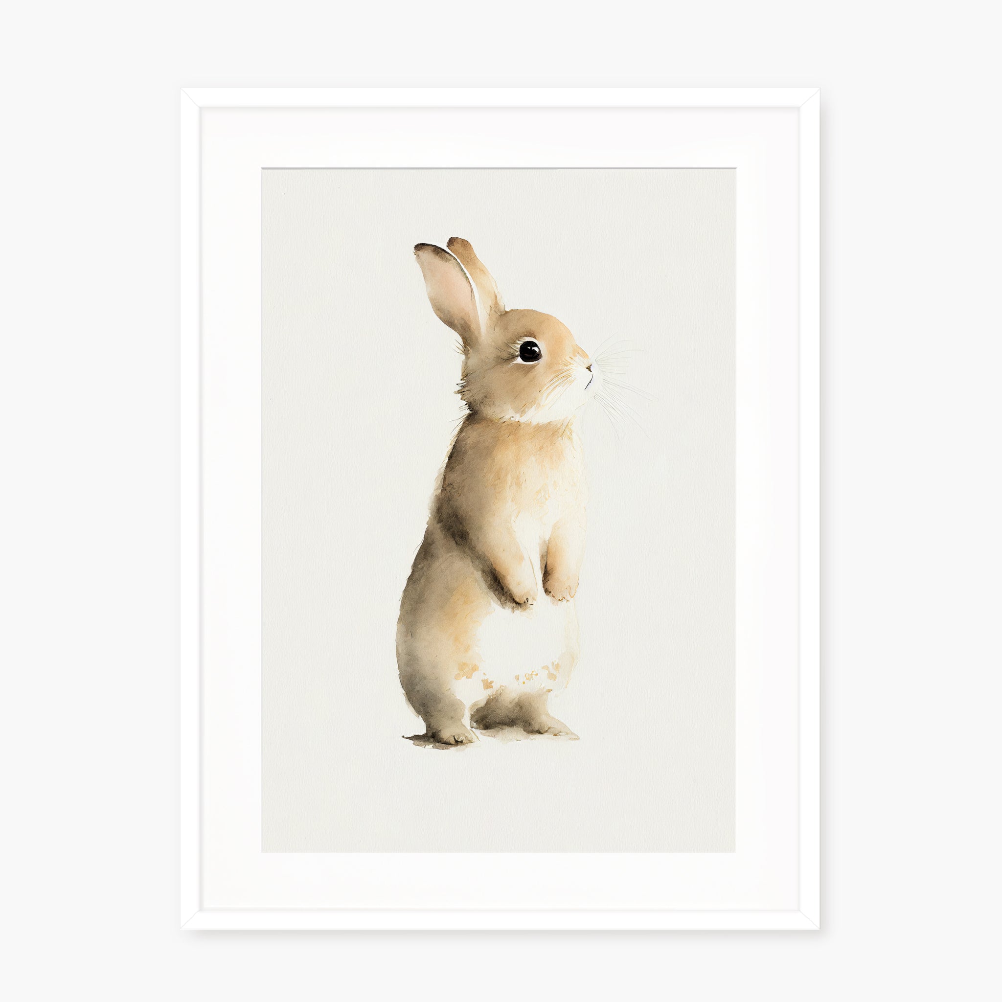 BABY RABBIT