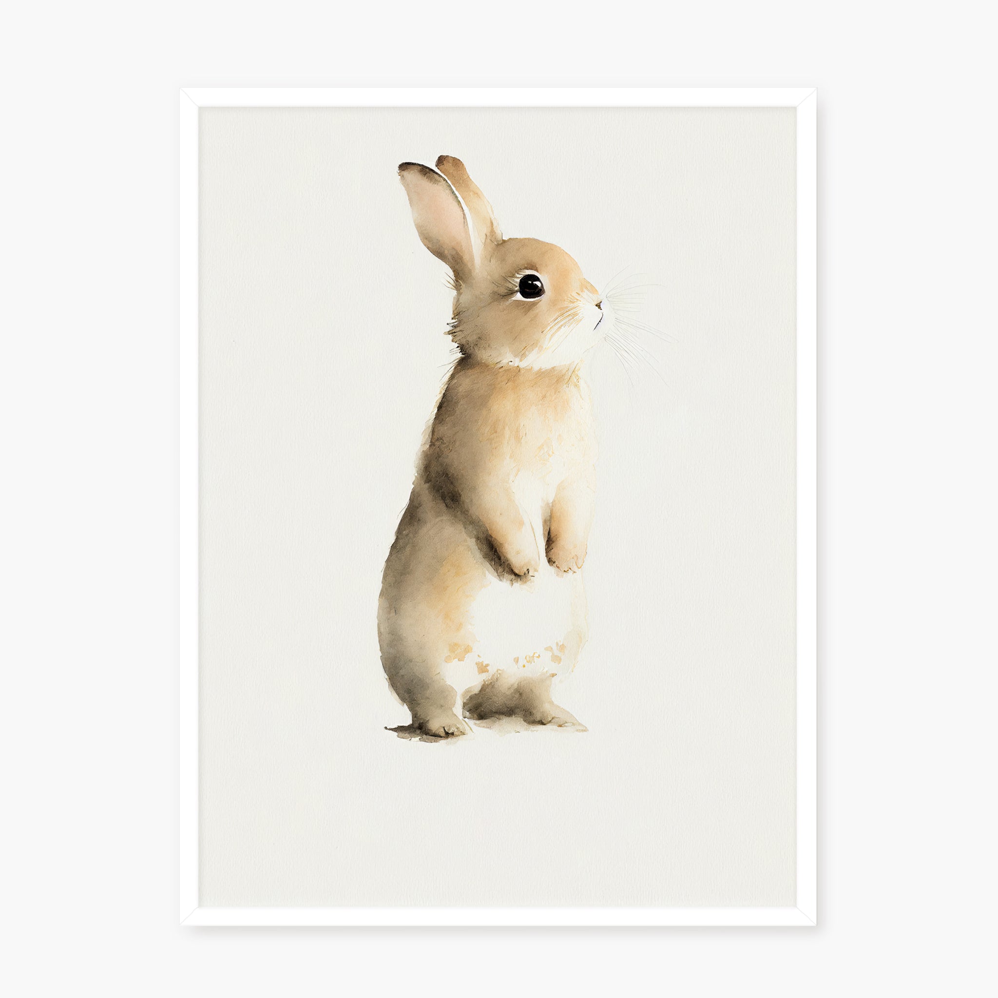 BABY RABBIT