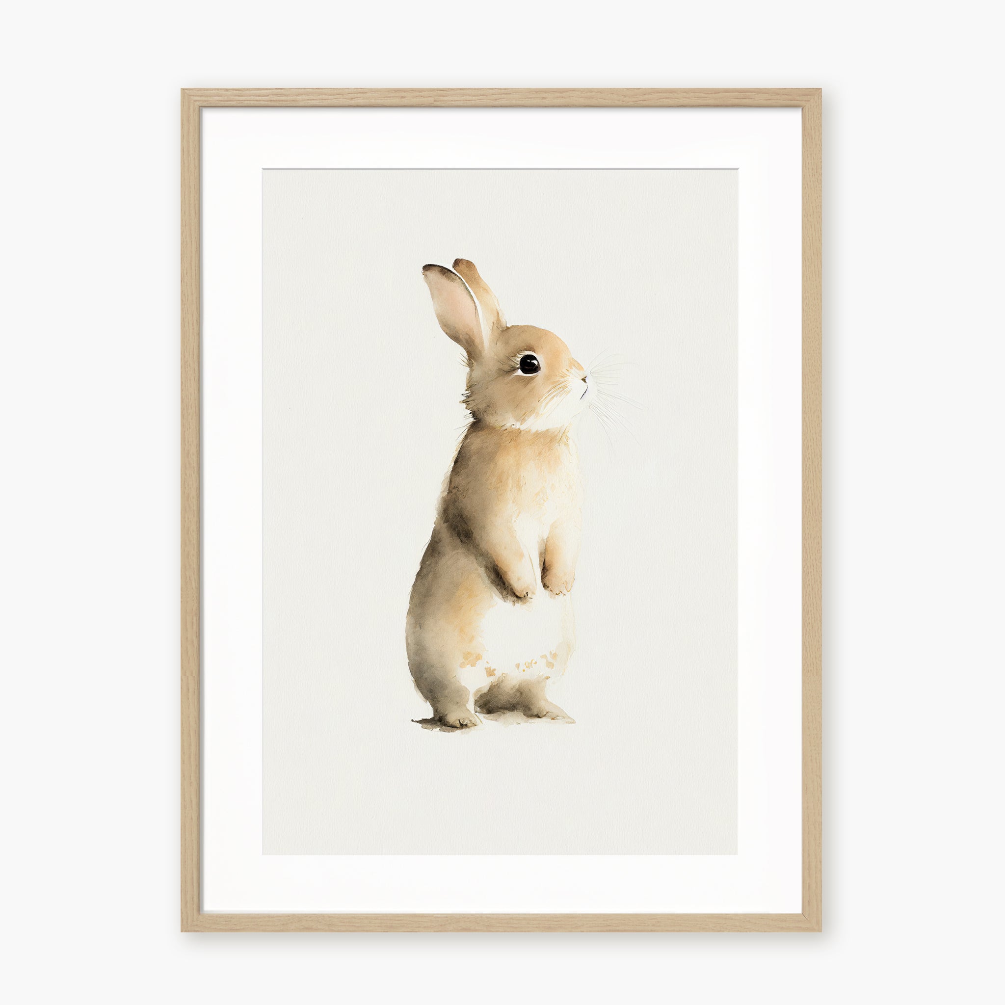 BABY RABBIT