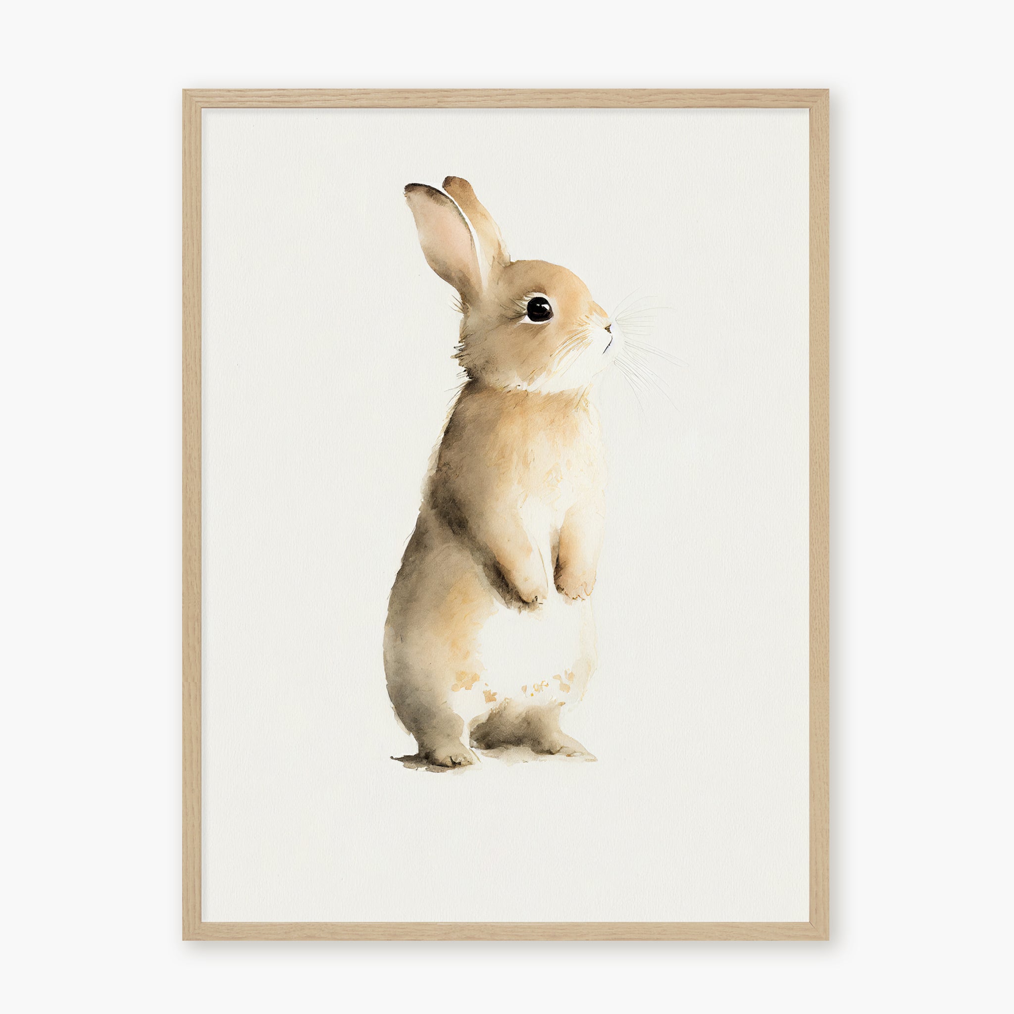 BABY RABBIT
