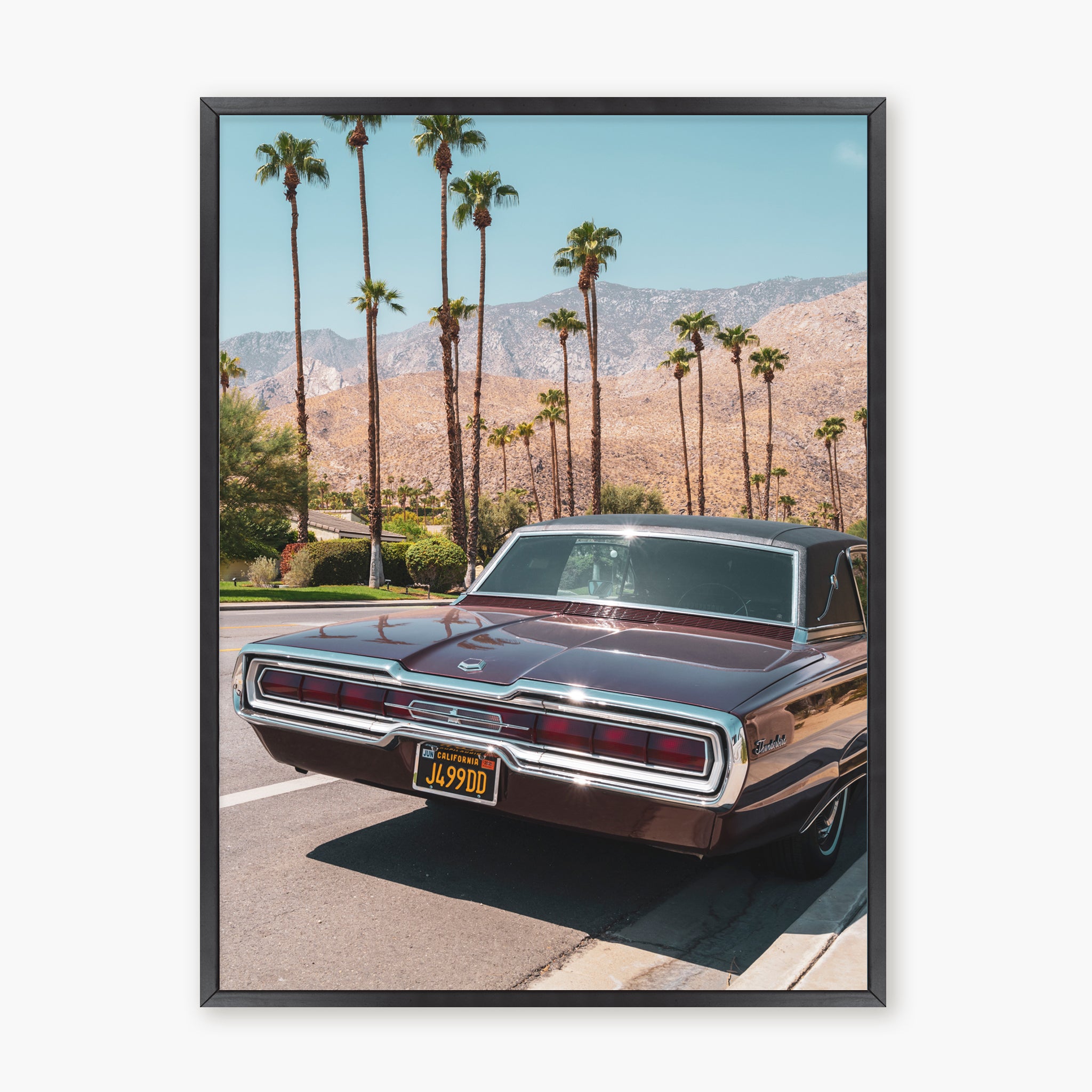 FORD THUNDERBIRD
