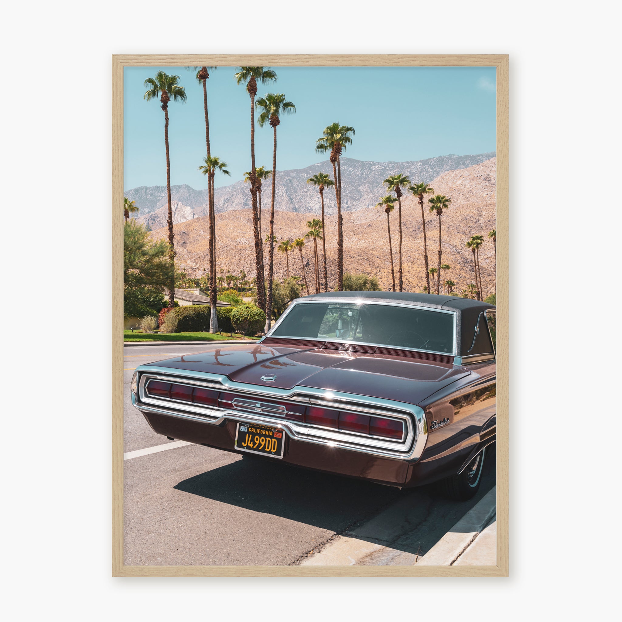 FORD THUNDERBIRD