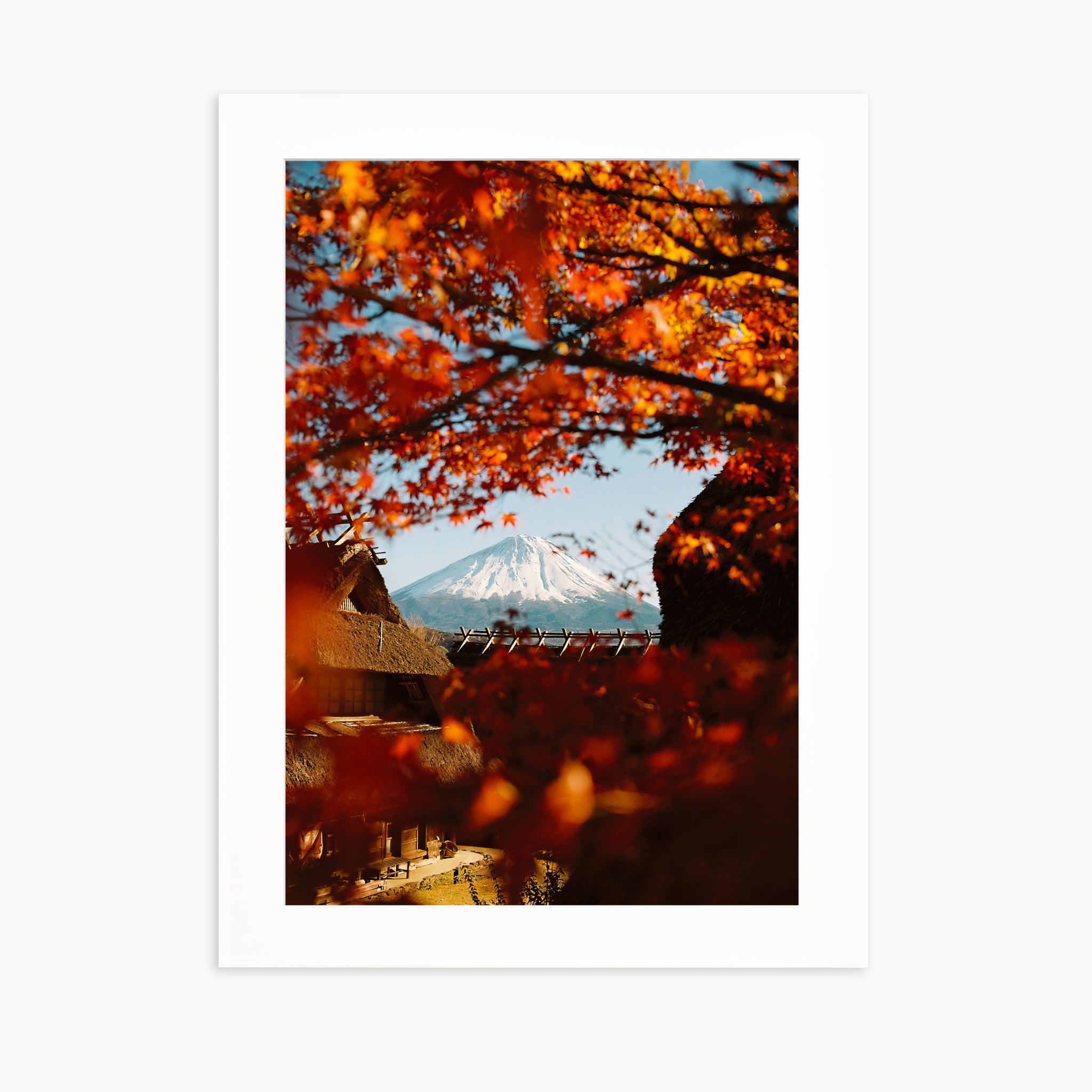 AUTUMN IN JAPAN