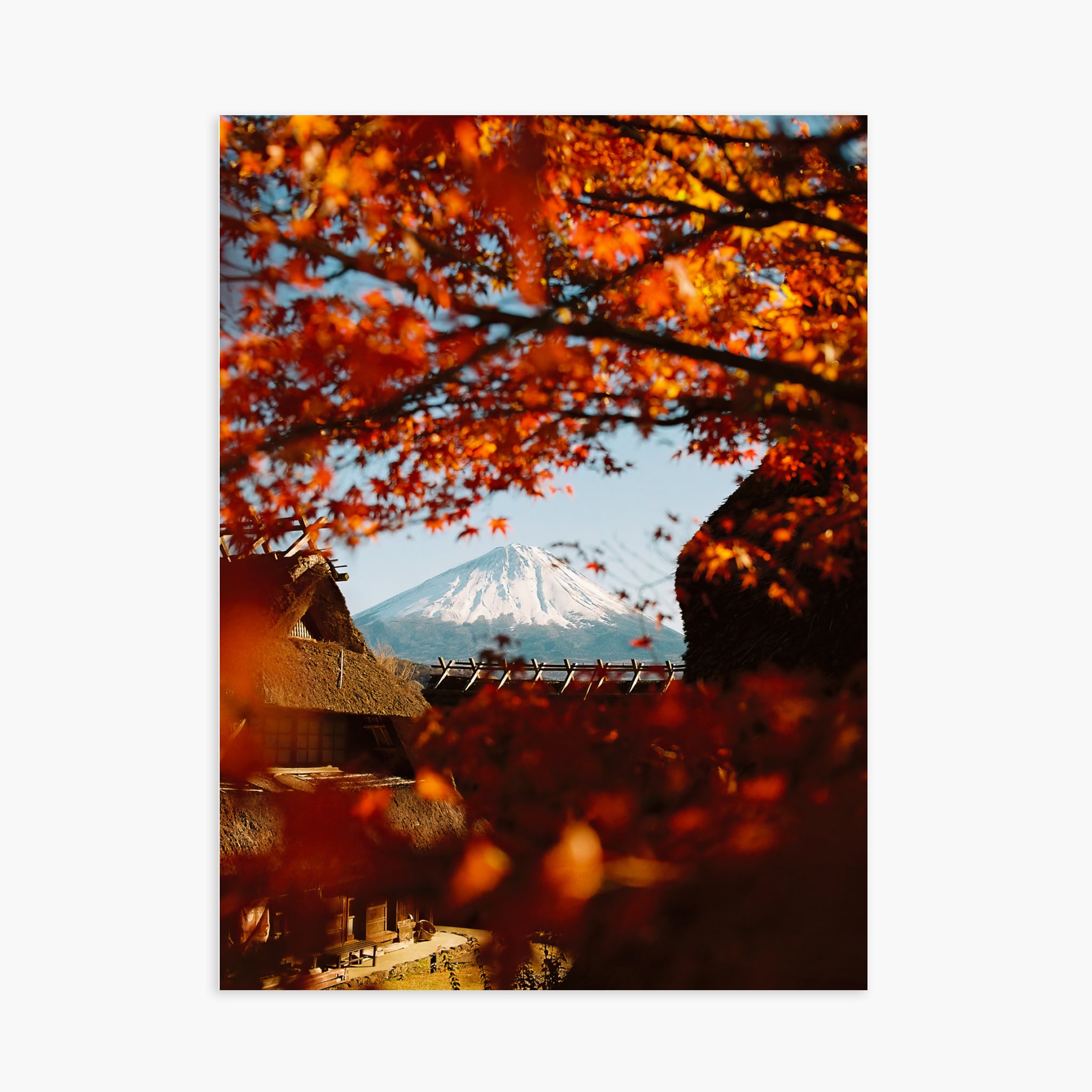 AUTUMN IN JAPAN