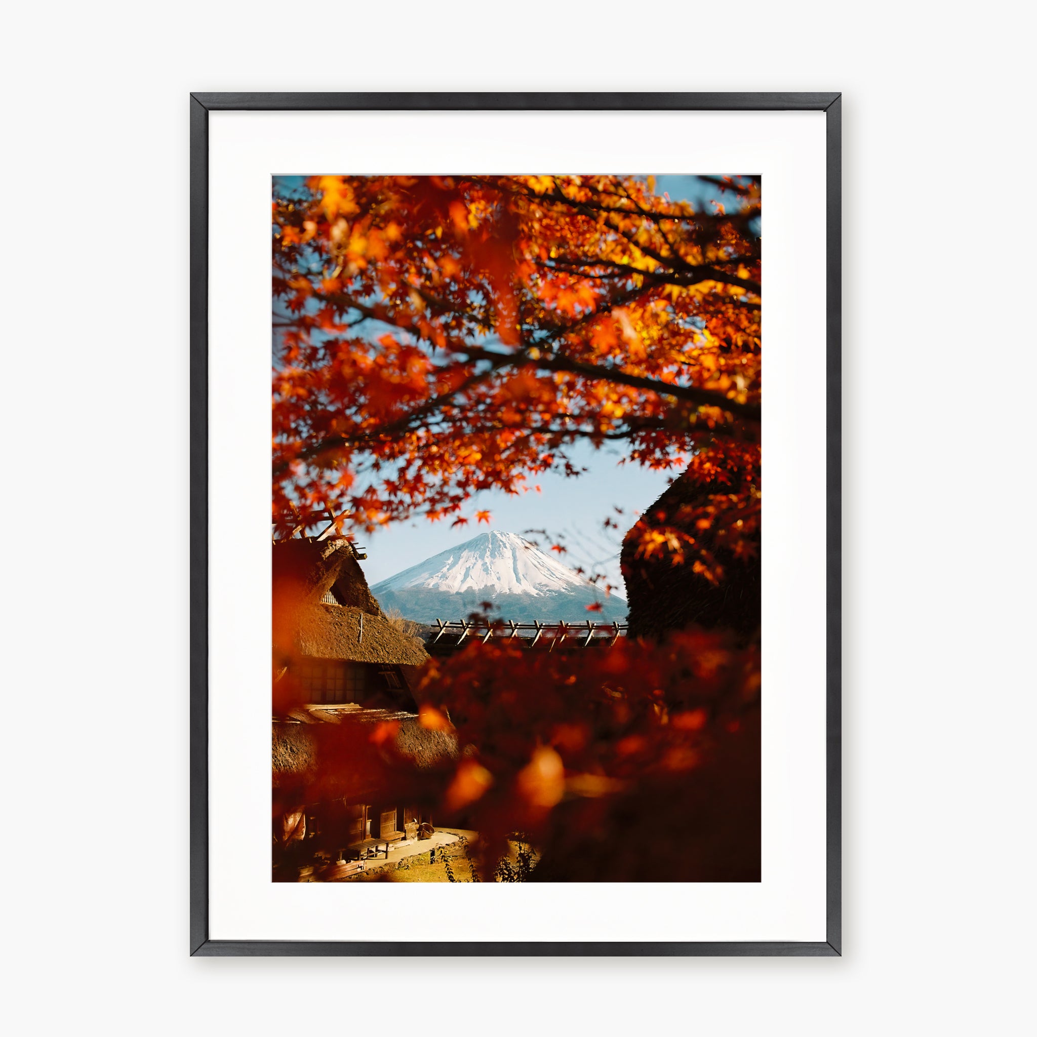AUTUMN IN JAPAN