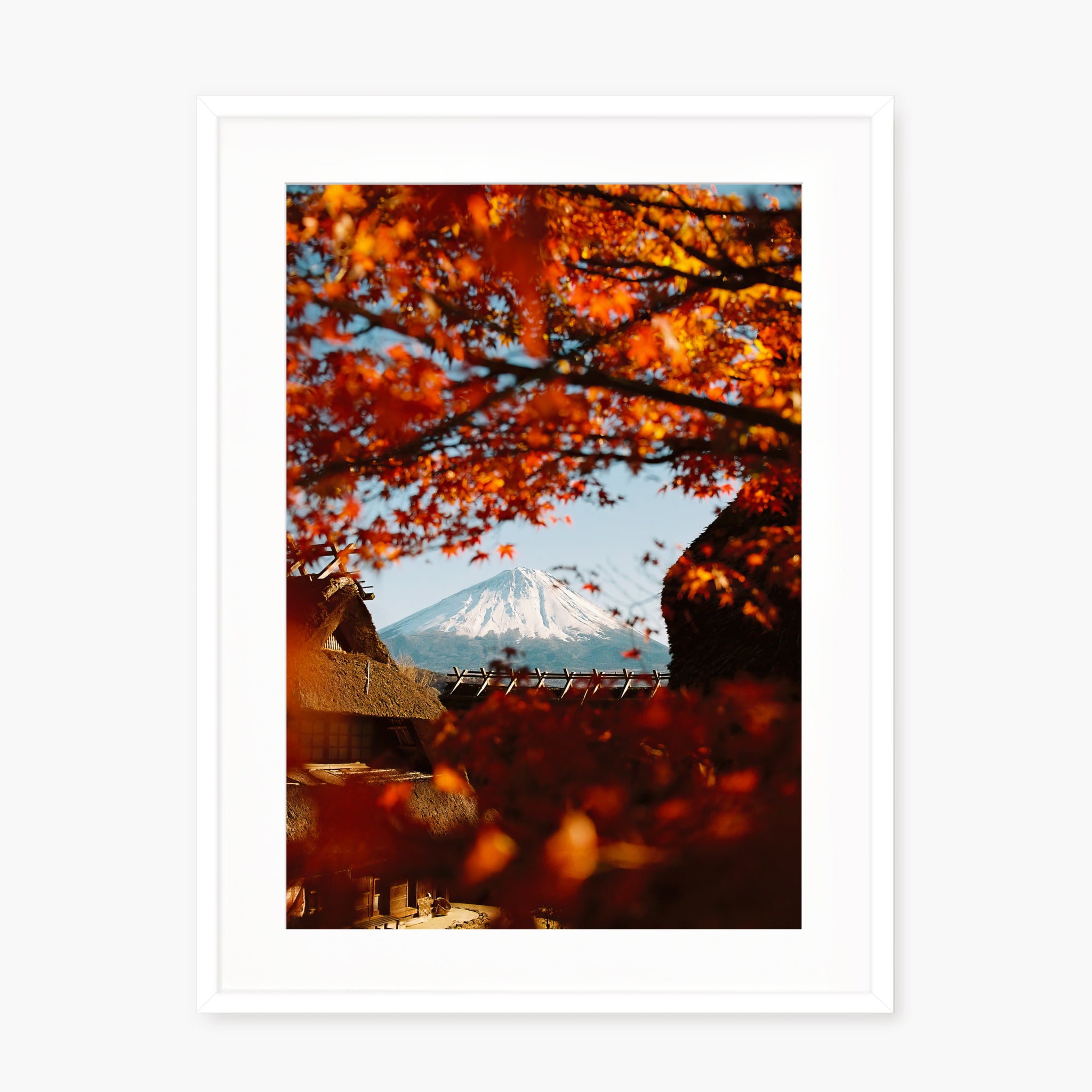 AUTUMN IN JAPAN