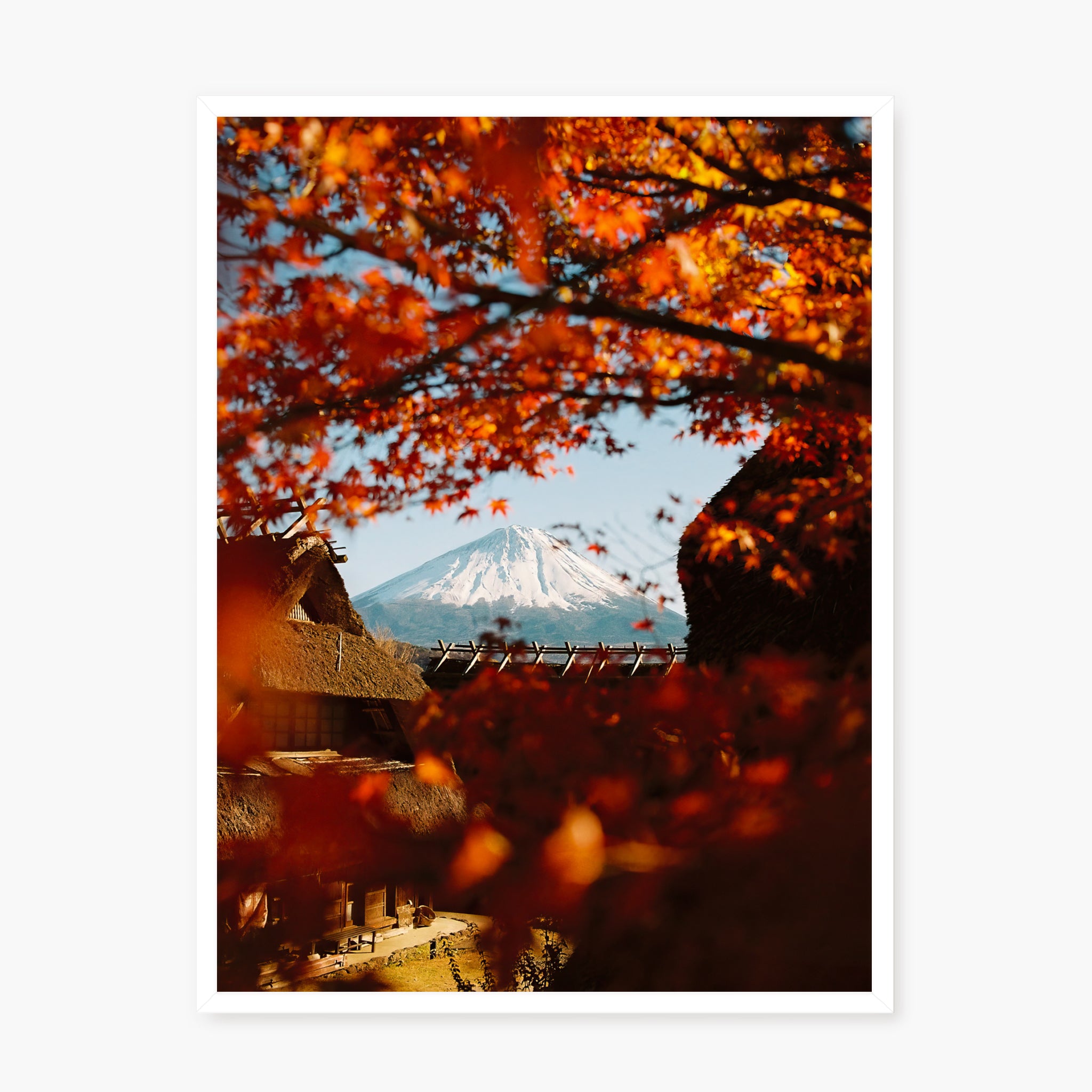 AUTUMN IN JAPAN