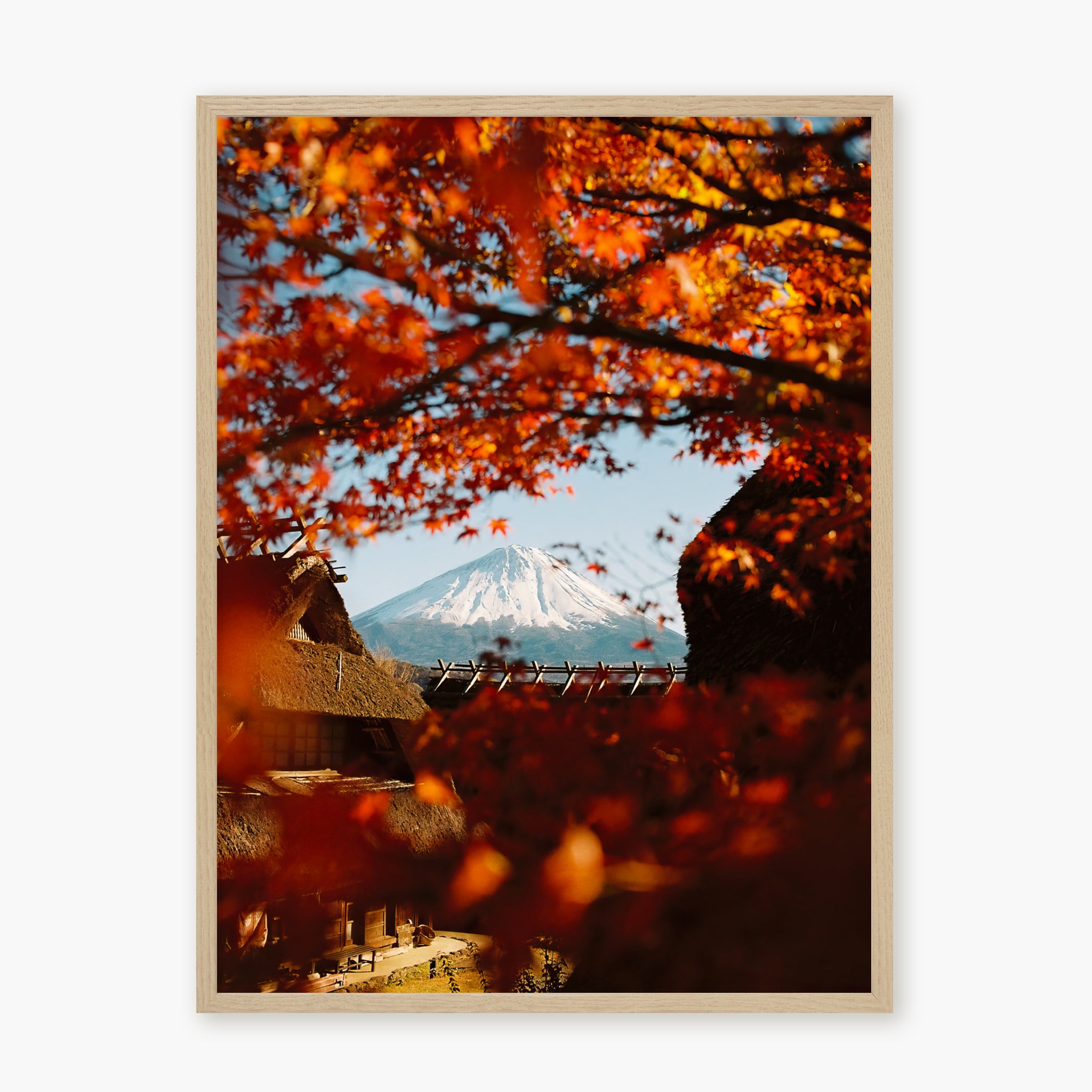 AUTUMN IN JAPAN