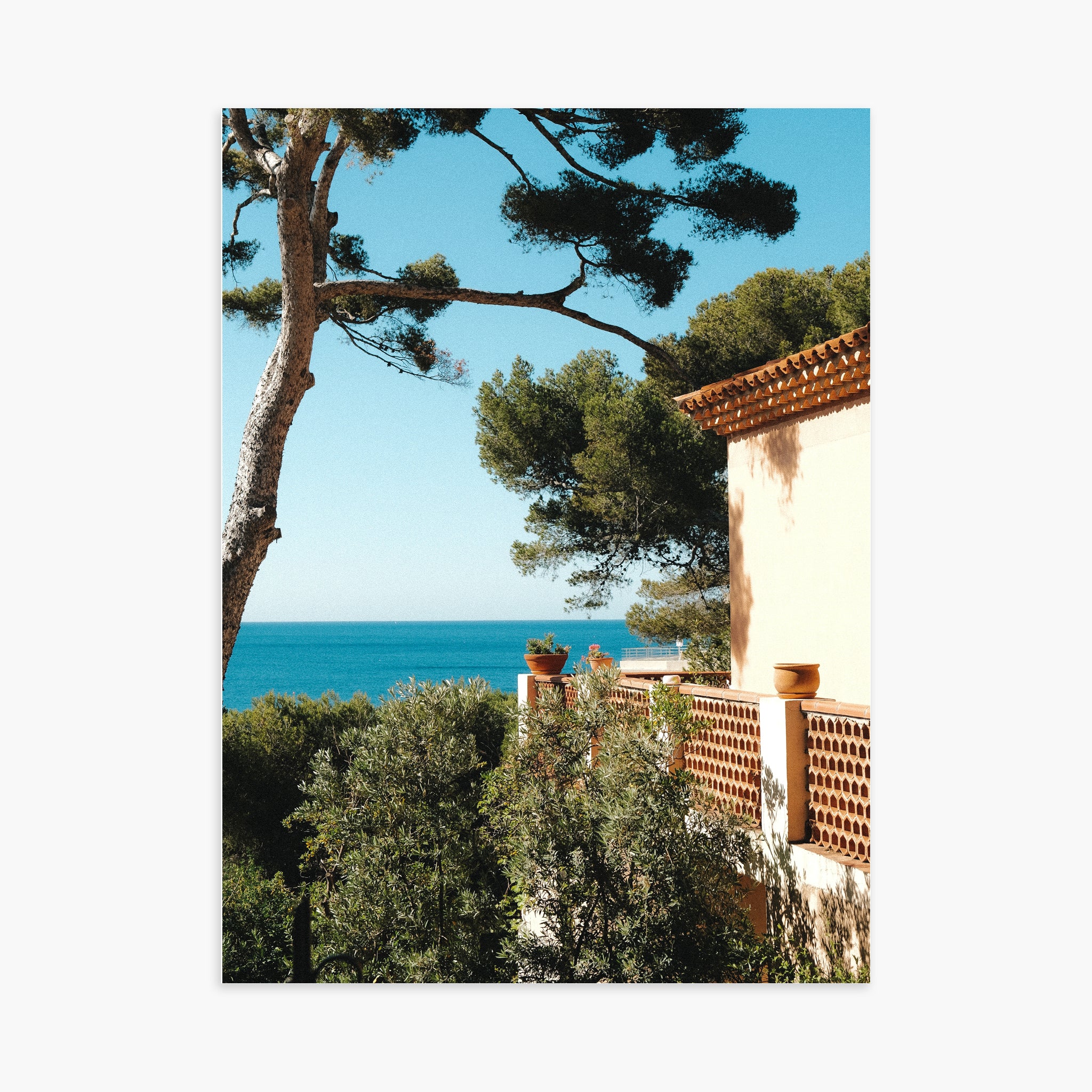 MAISON CASSIDAINE