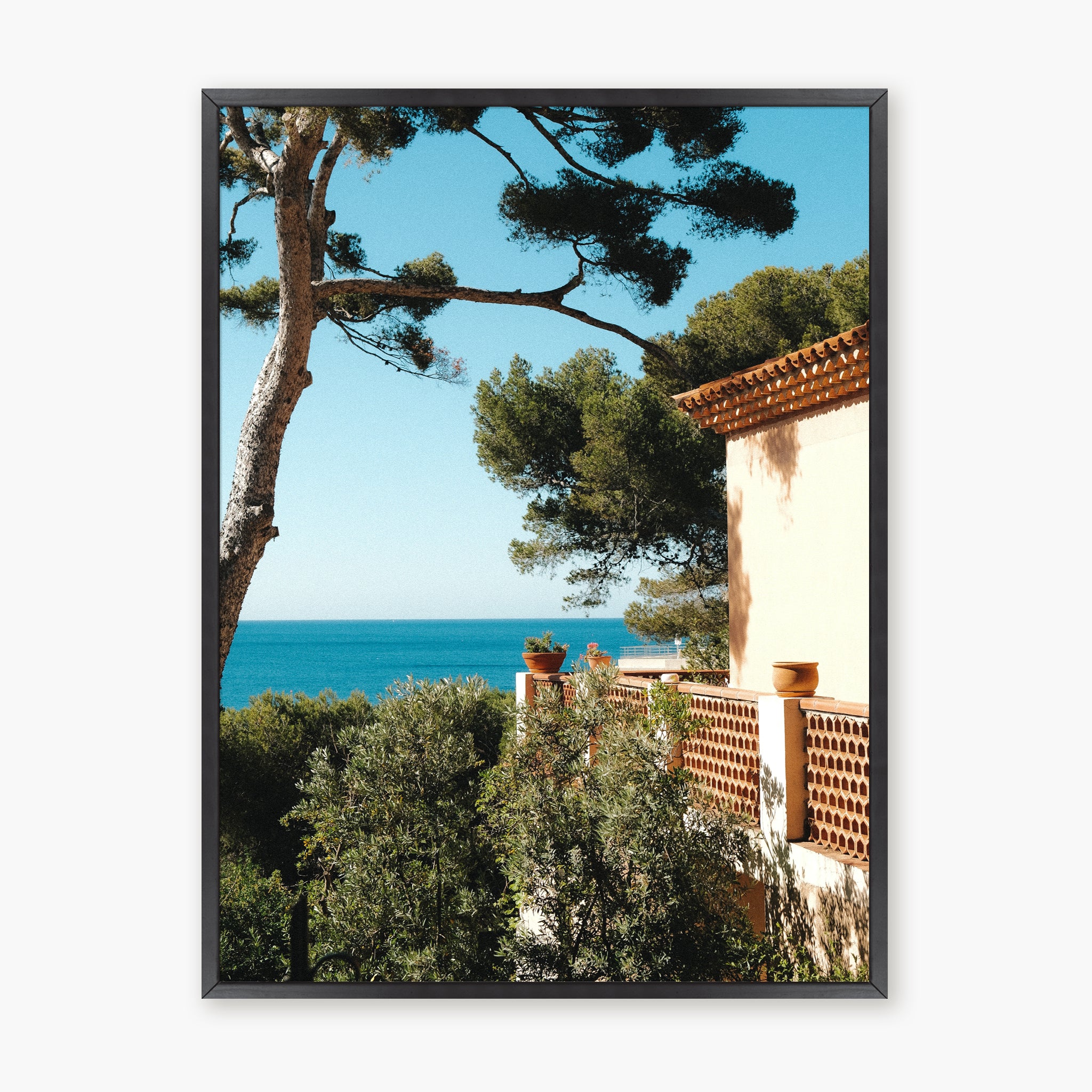MAISON CASSIDAINE