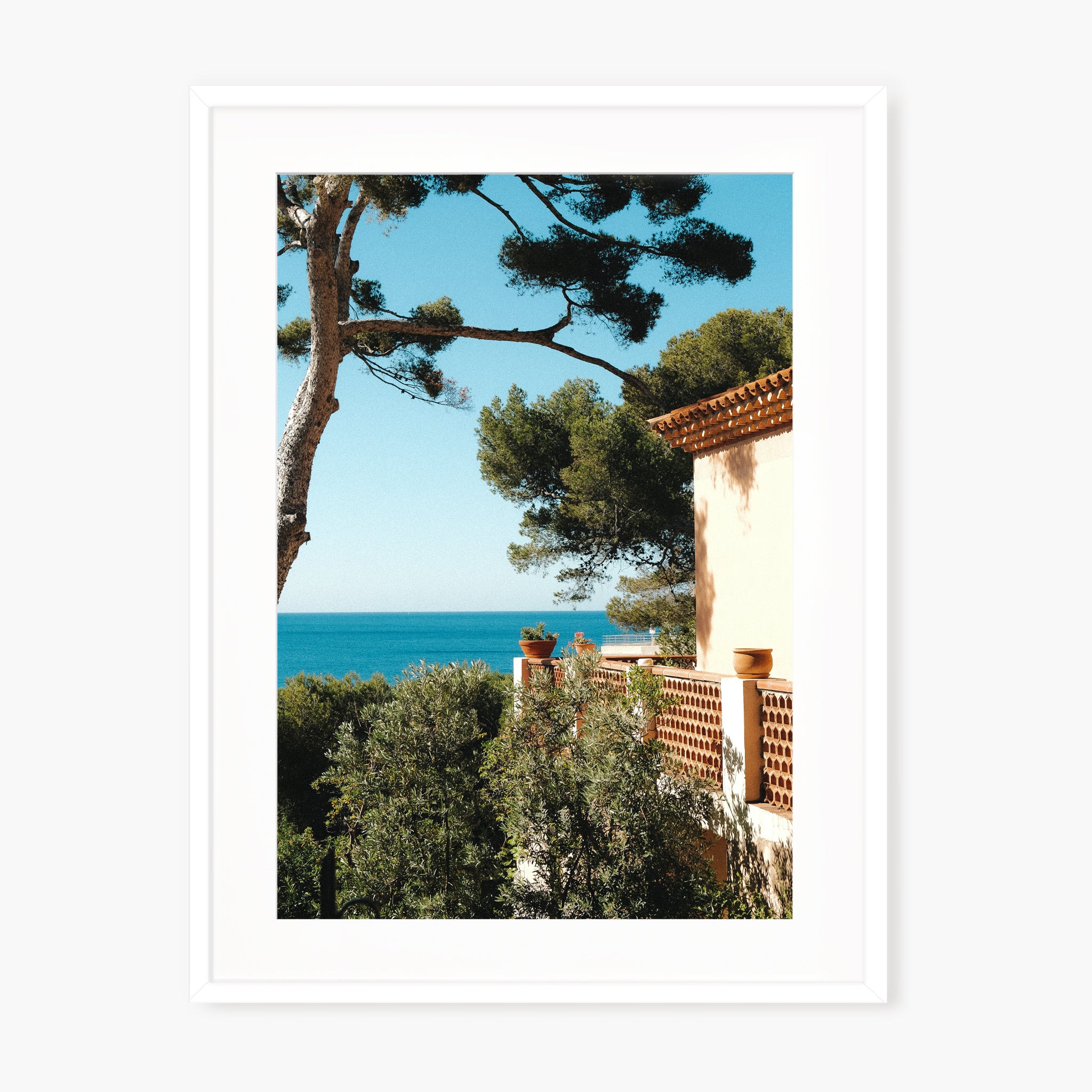 MAISON CASSIDAINE