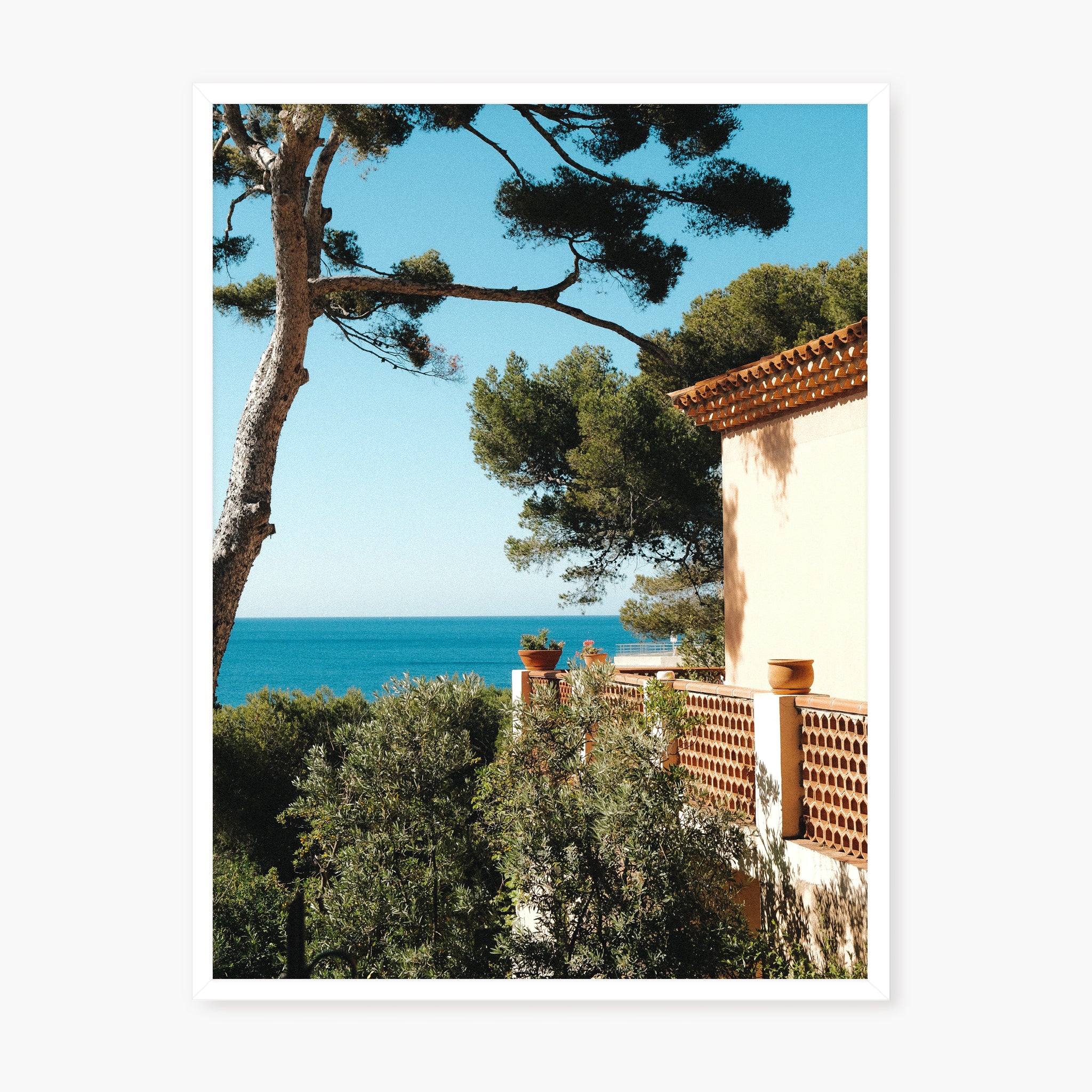 MAISON CASSIDAINE