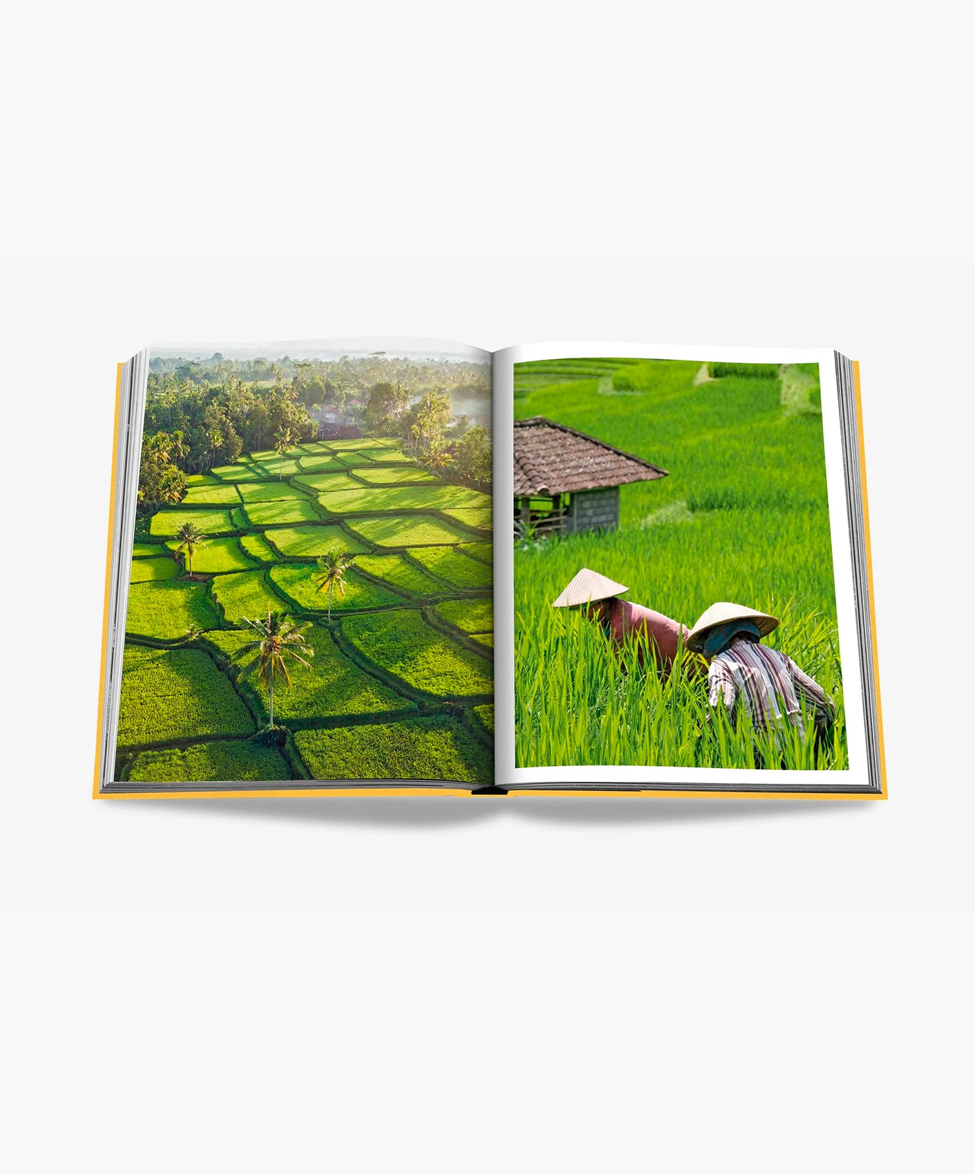 BALI MYSTIQUE
