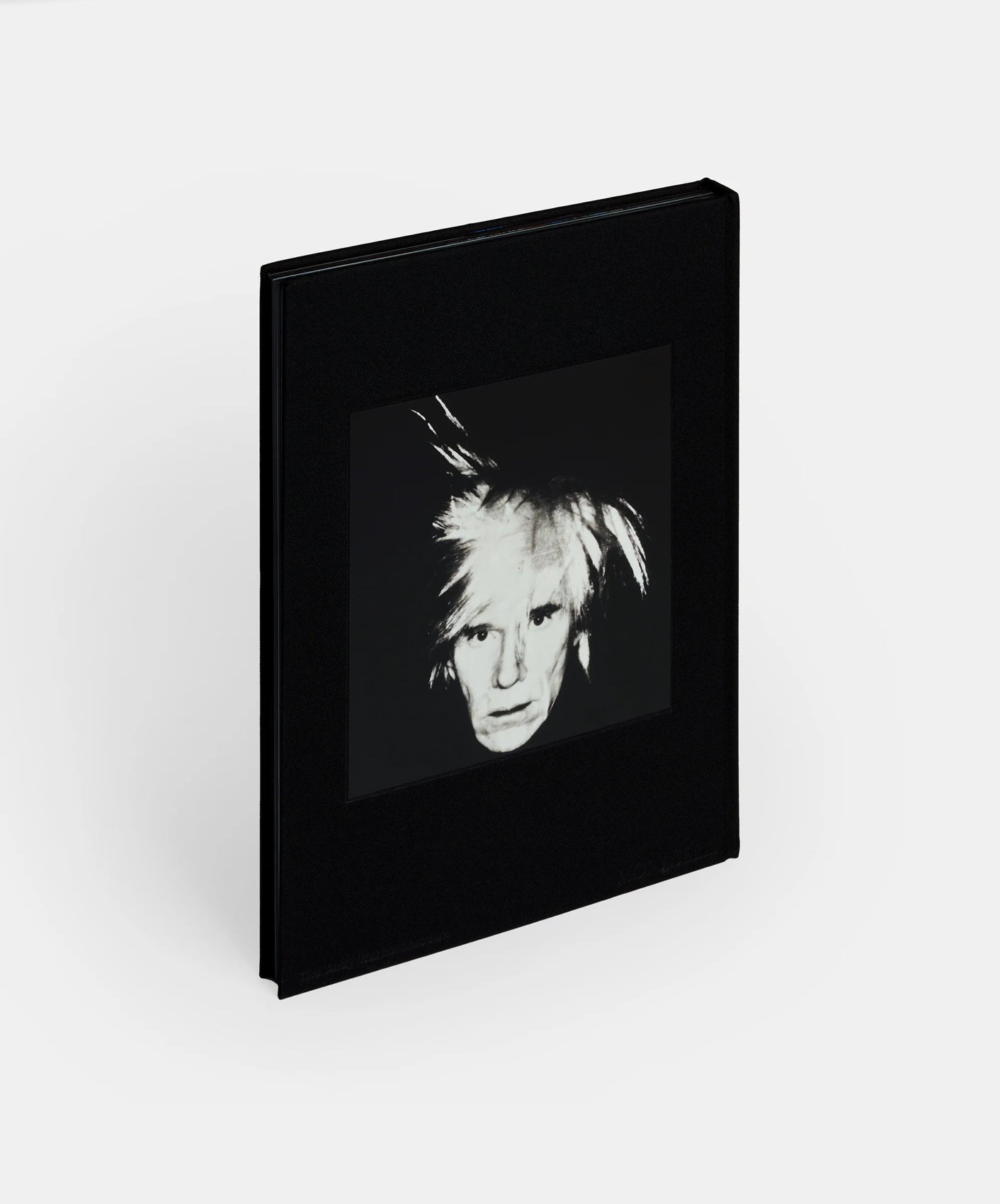 KAWS + Warhol