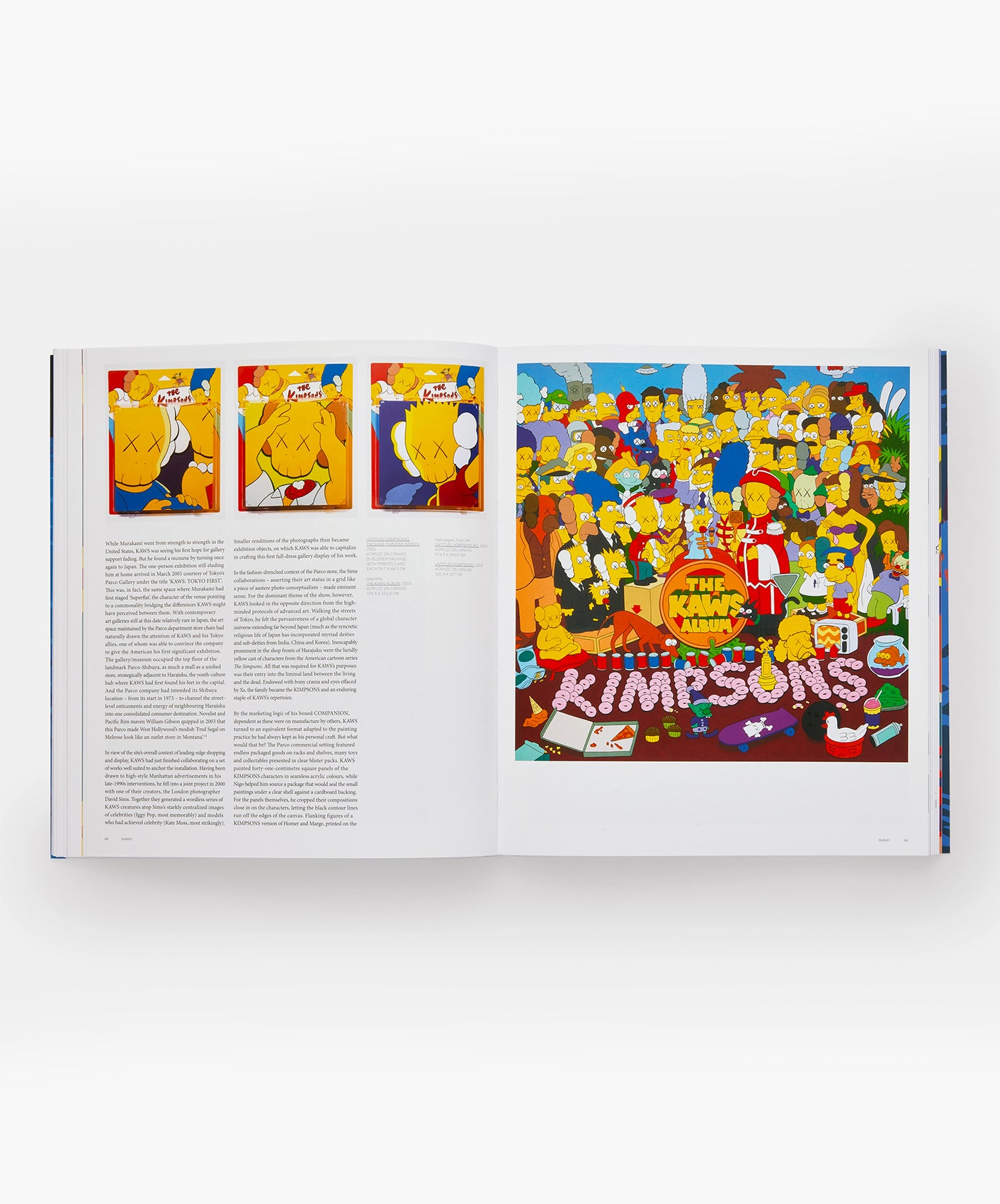 KAWS