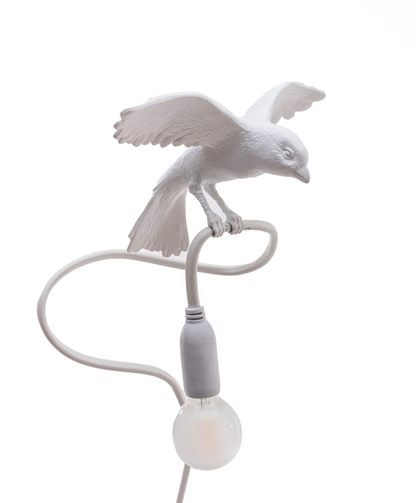 OISEAU "ATTERRISSAGE"